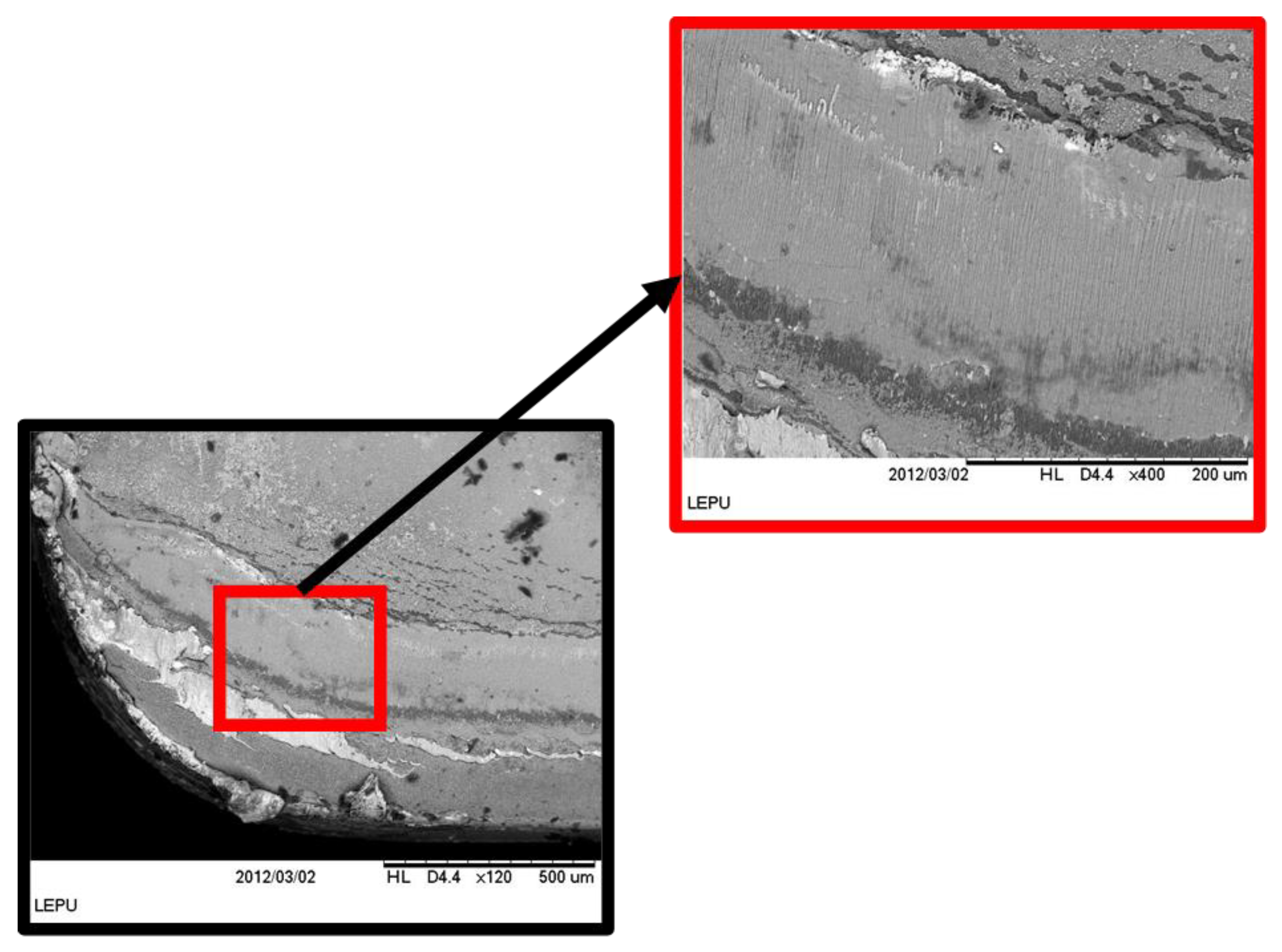 Lubricants 10 00309 g018