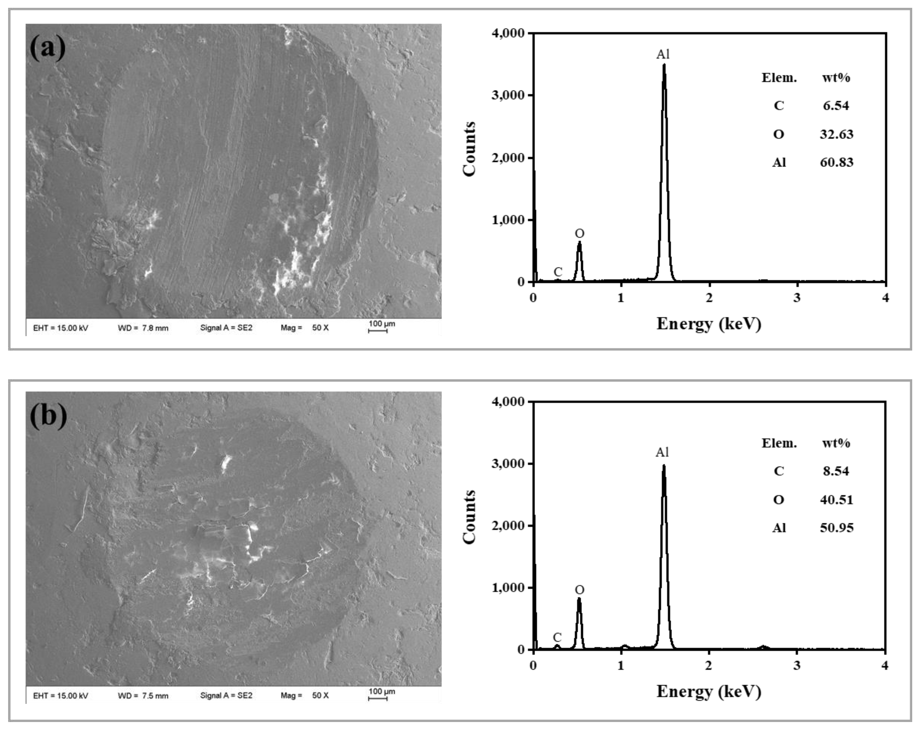 Lubricants 10 00322 g016 Lubricants 10 00322 g016