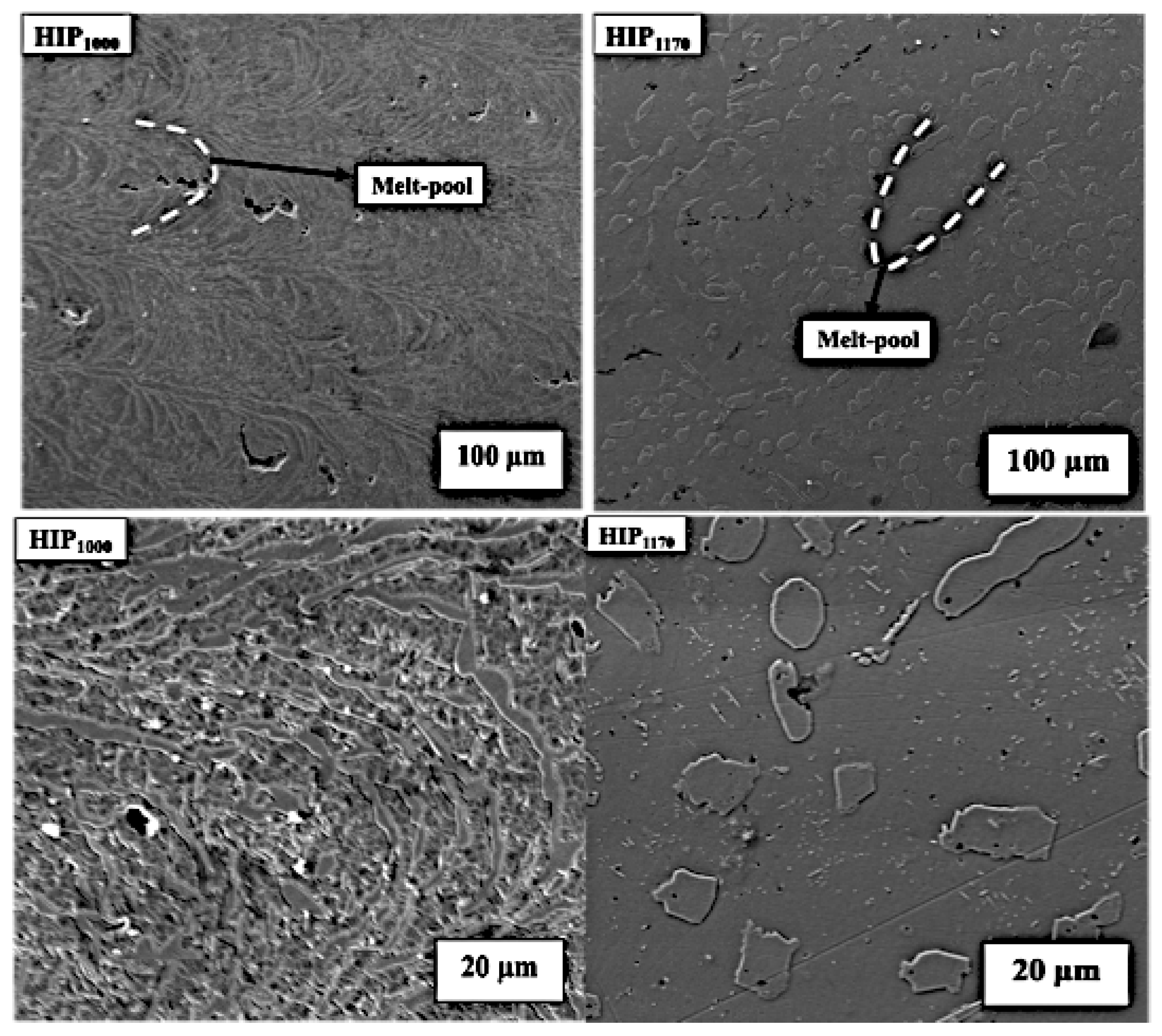Lubricants 10 00340 g004 Lubricants 10 00340 g004