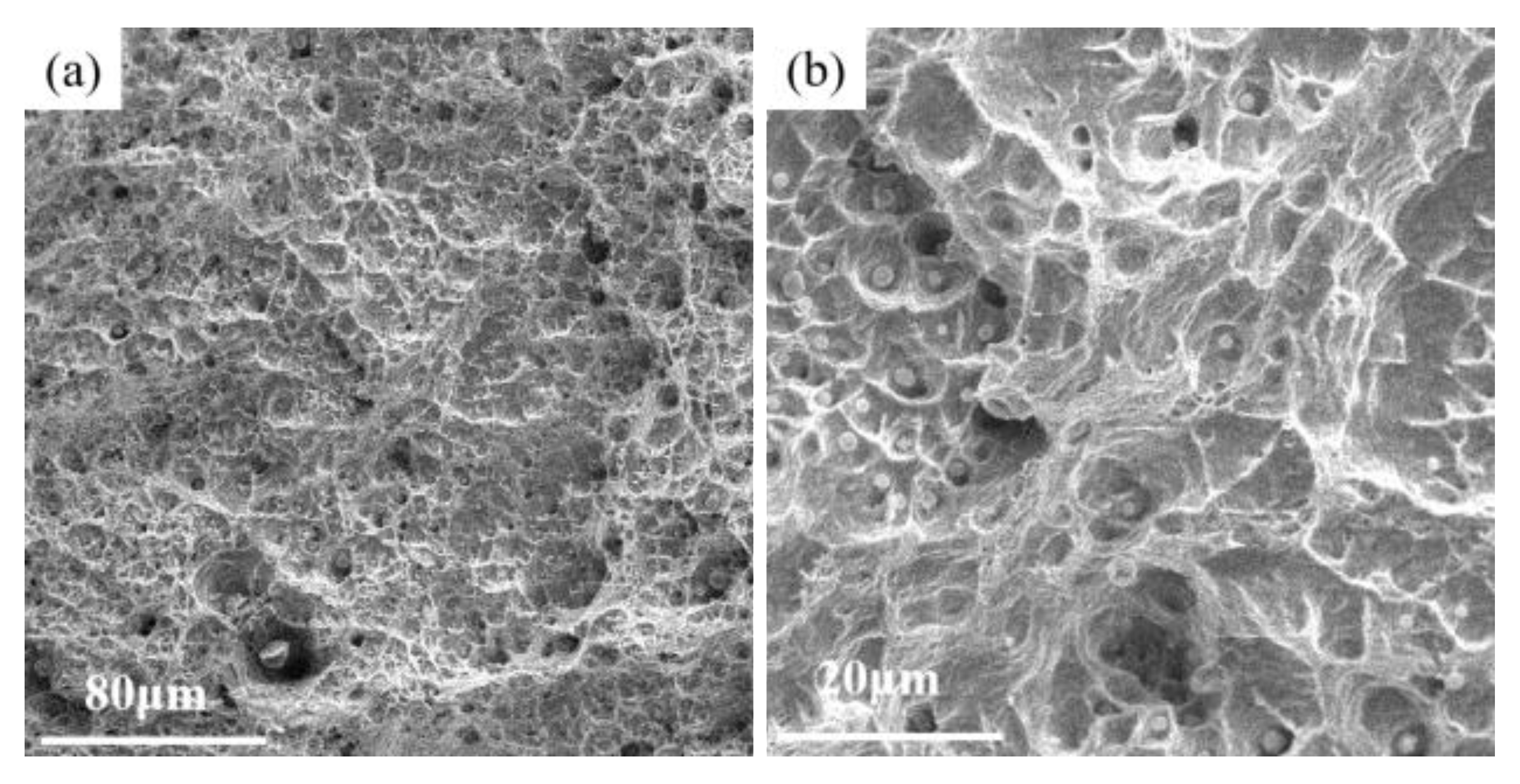 Lubricants 10 00344 g007