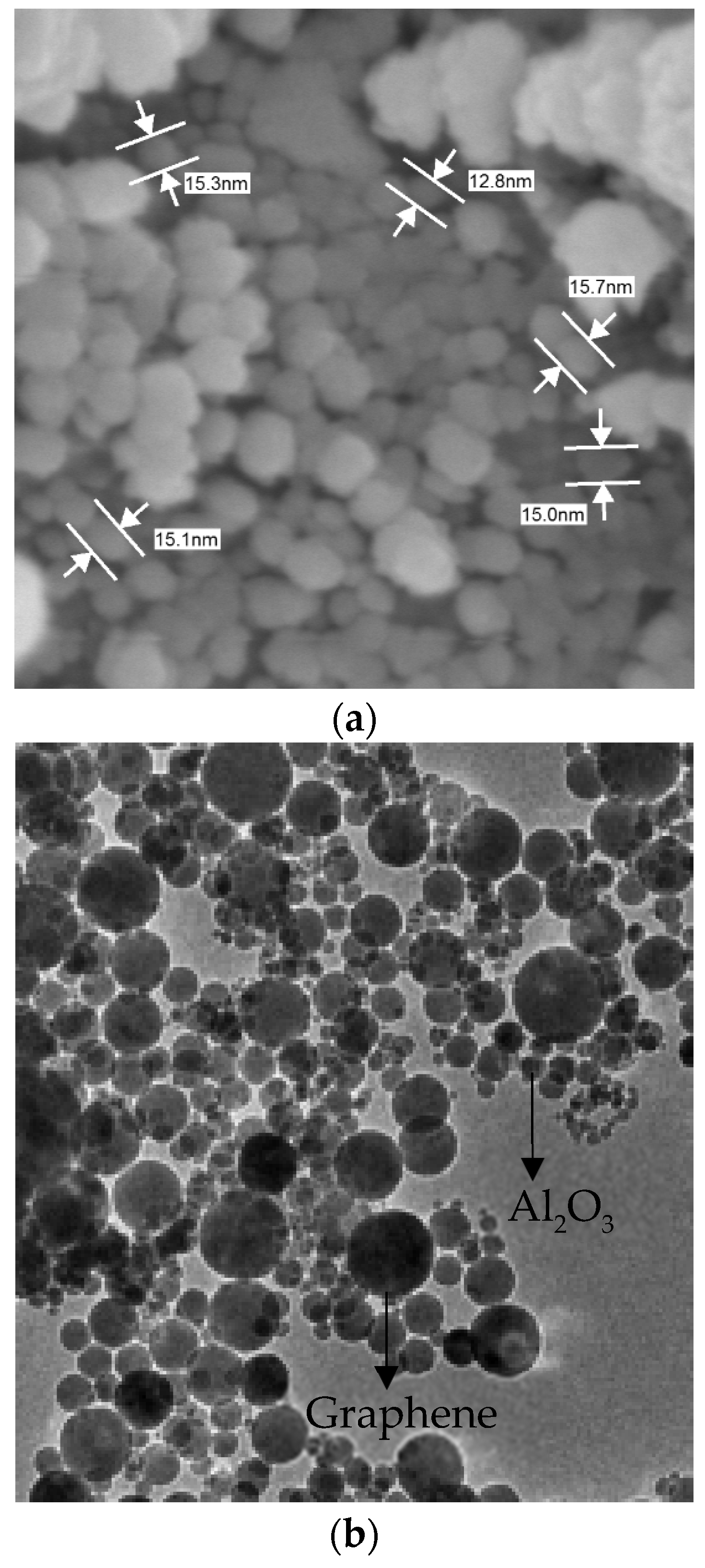 Lubricants 10 00350 g002