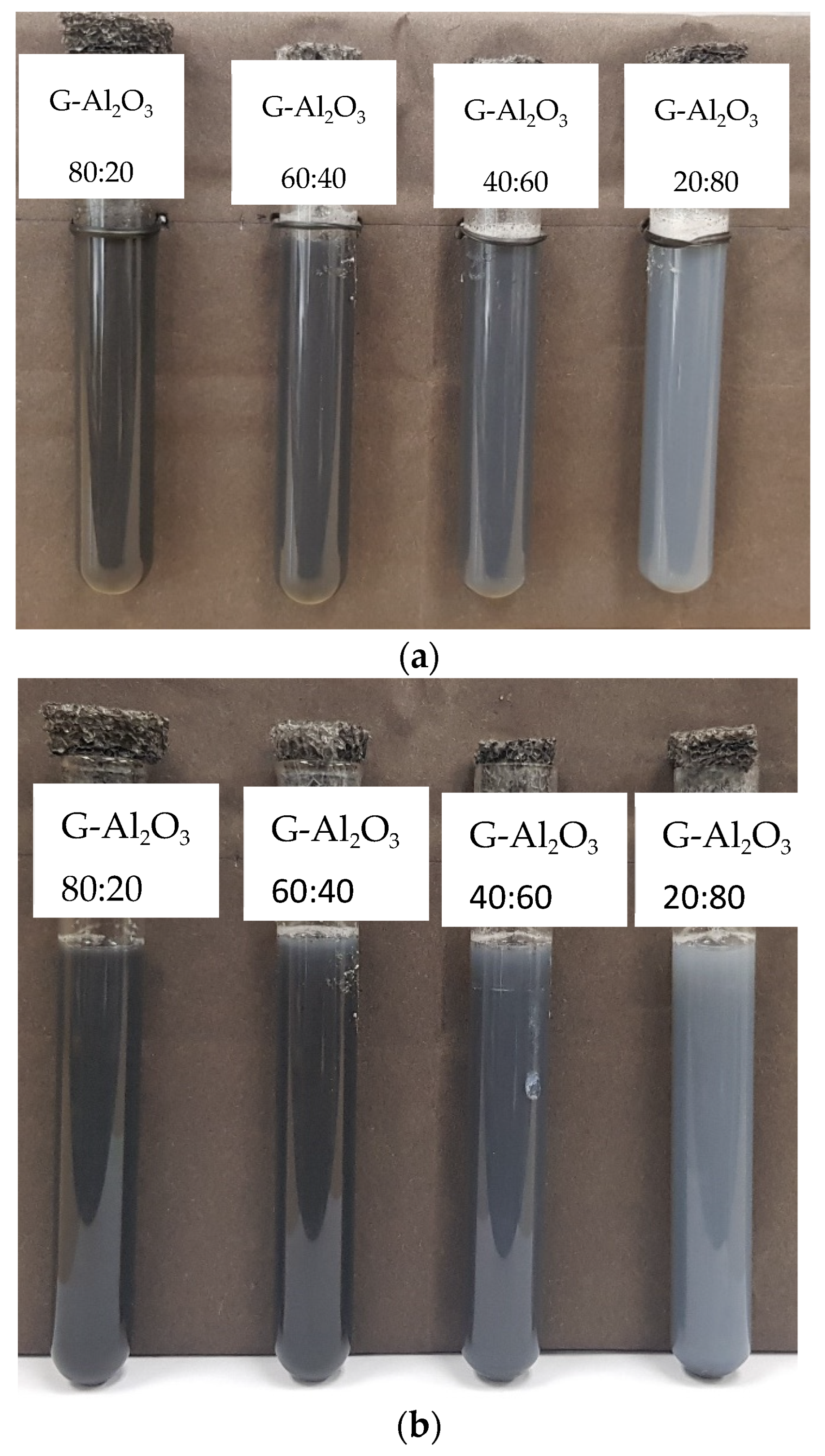 Lubricants 10 00350 g003