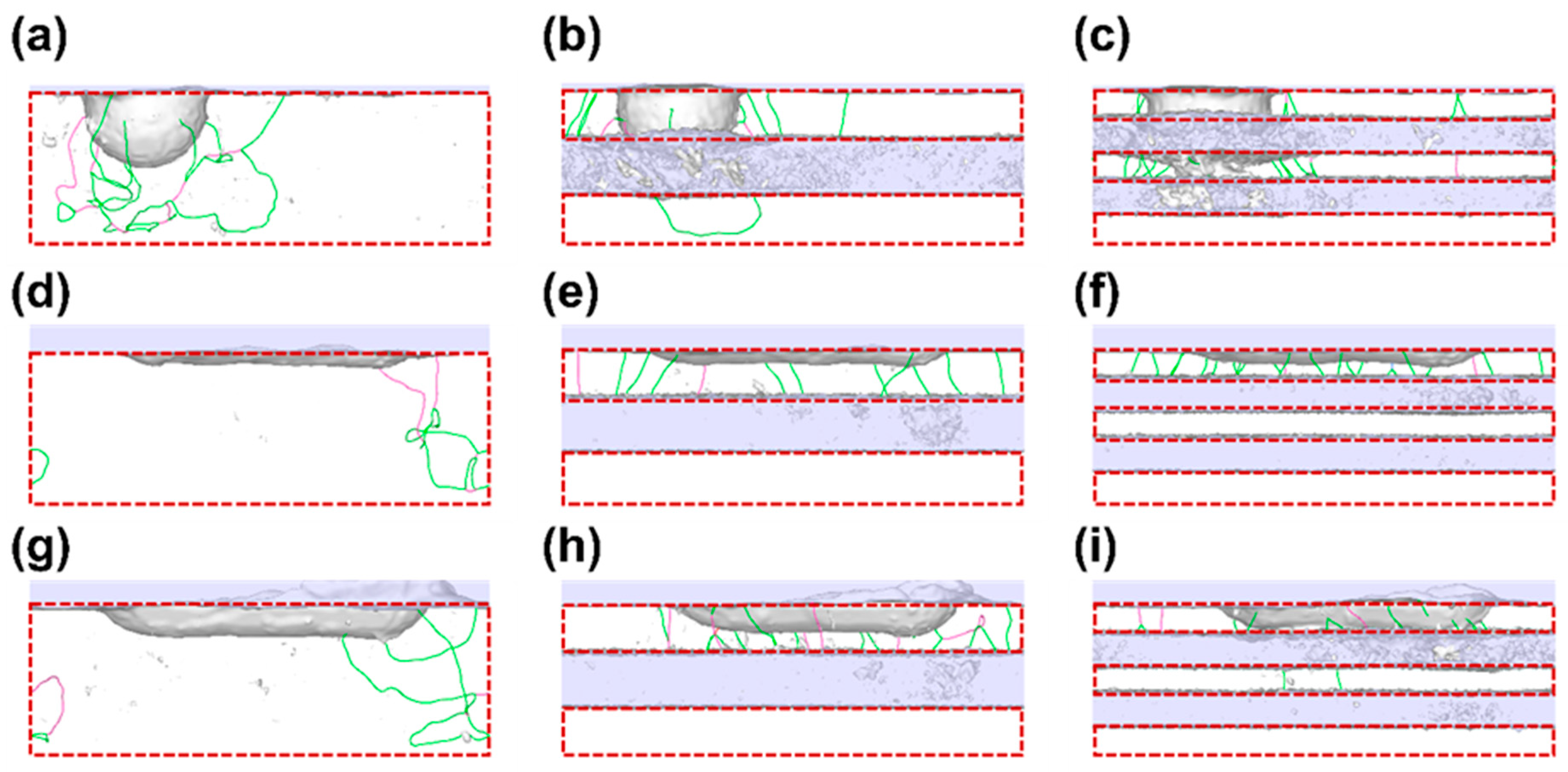 Lubricants 10 00357 g005