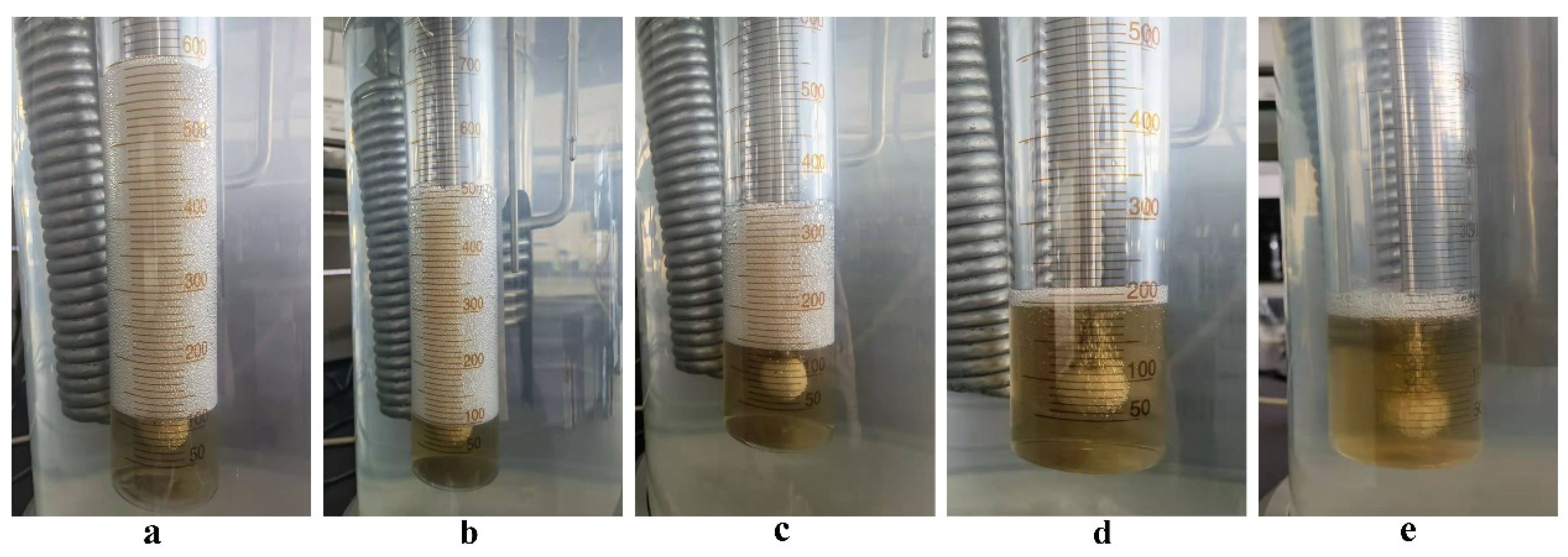 Lubricants 10 00364 g006