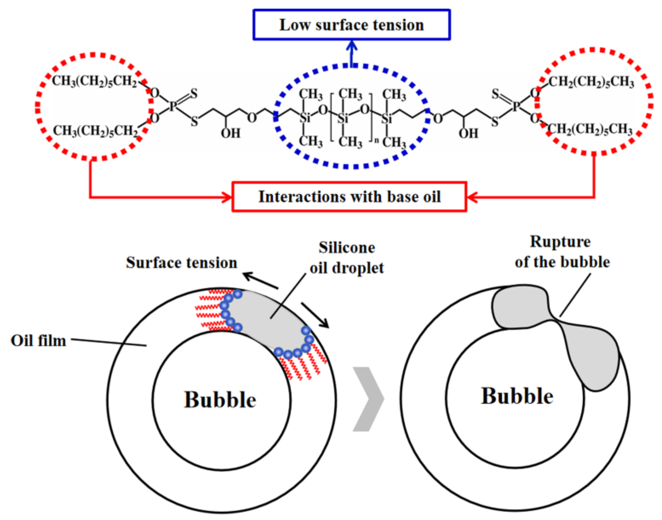 Lubricants 10 00364 g008