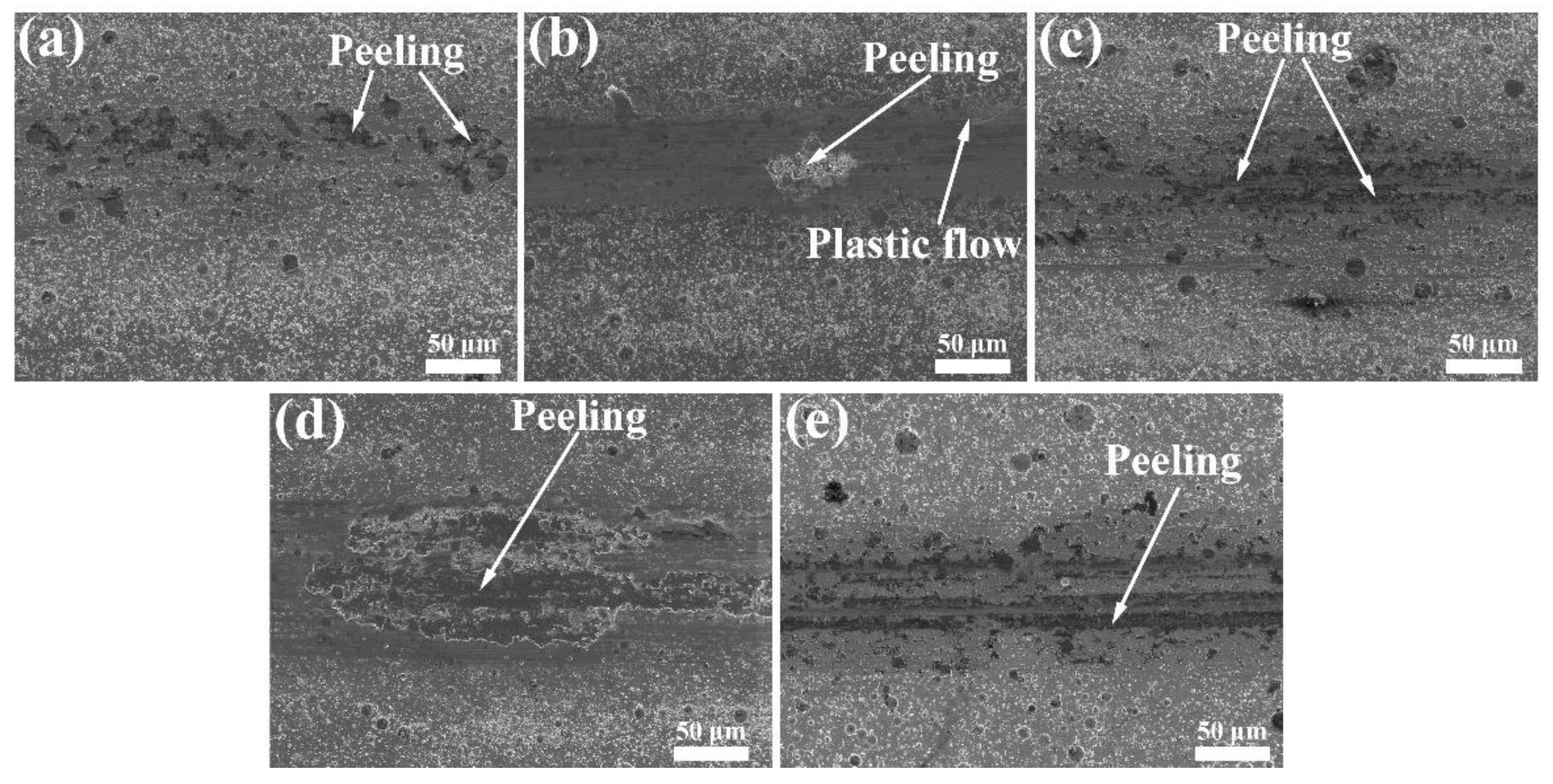 Lubricants 11 00008 g010 Lubricants 11 00008 g010
