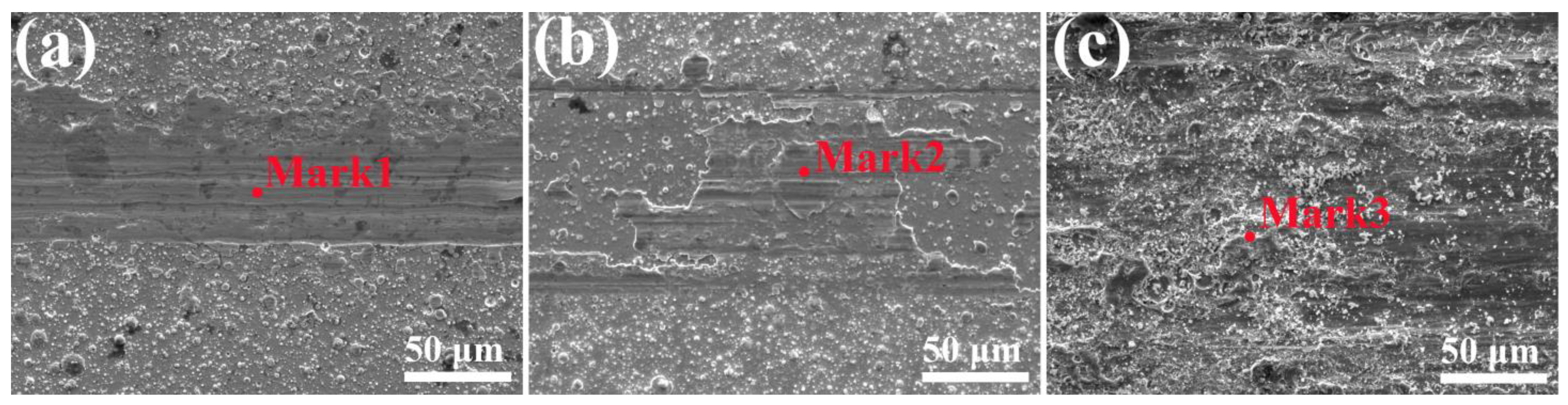 Lubricants 11 00008 g016 Lubricants 11 00008 g016