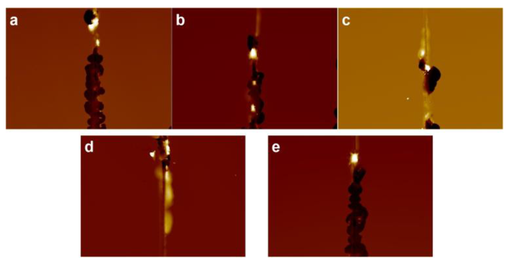 Lubricants 11 00021 g004 Lubricants 11 00021 g004
