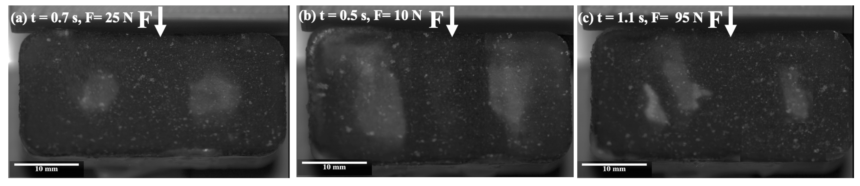 Lubricants 11 00105 g004 Lubricants 11 00105 g004