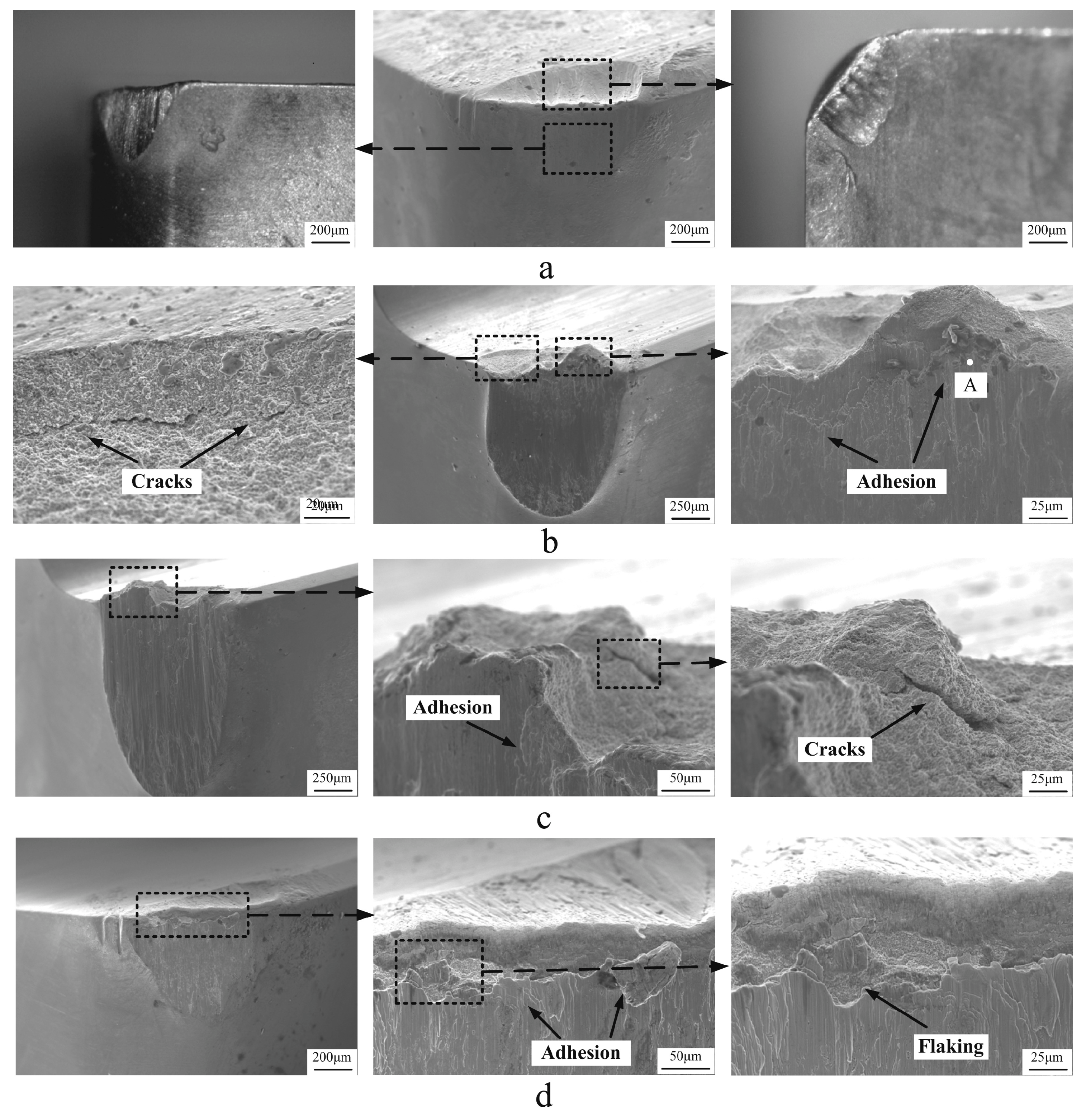 Lubricants 11 00108 g013 Lubricants 11 00108 g013