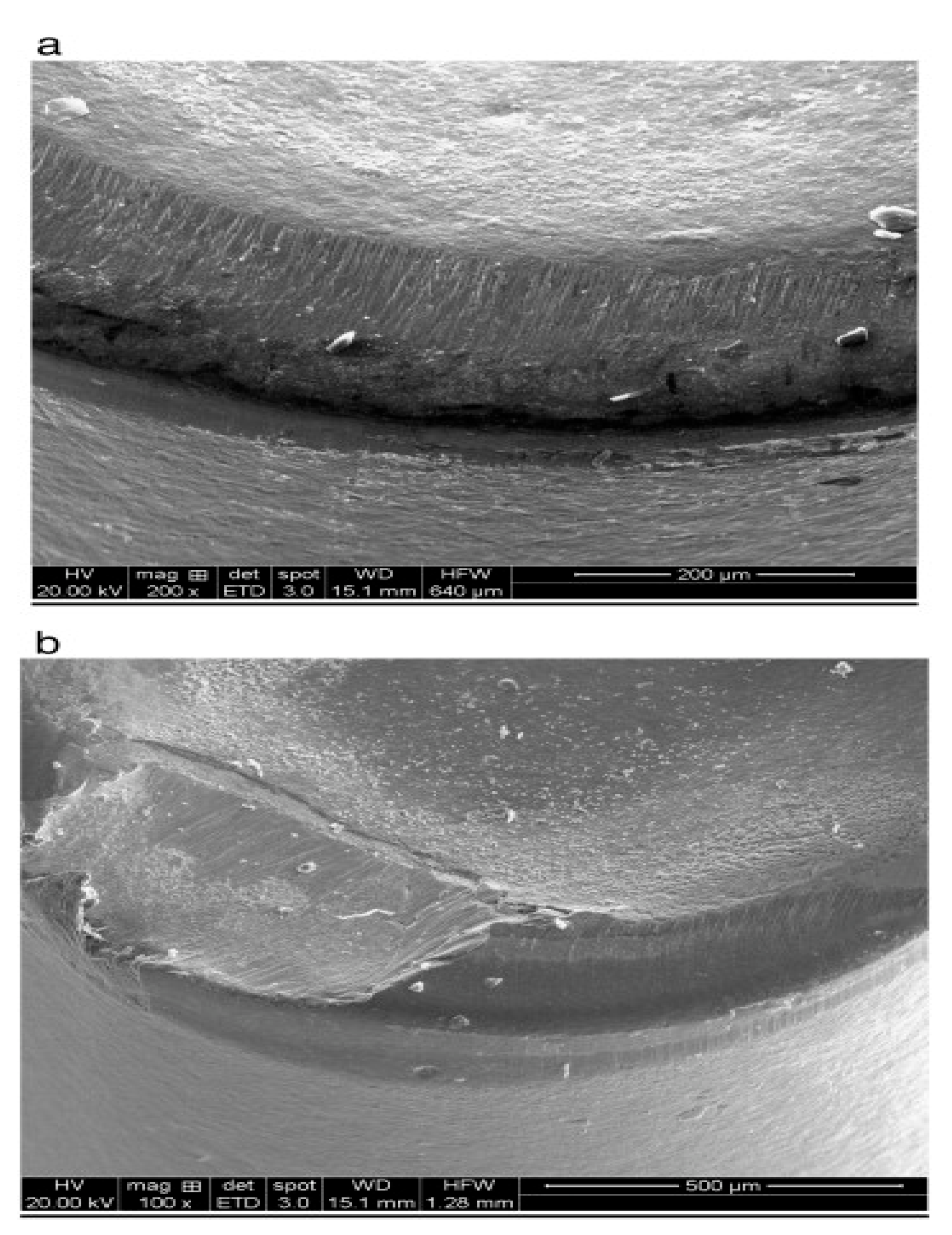 Lubricants 11 00108 g016 Lubricants 11 00108 g016