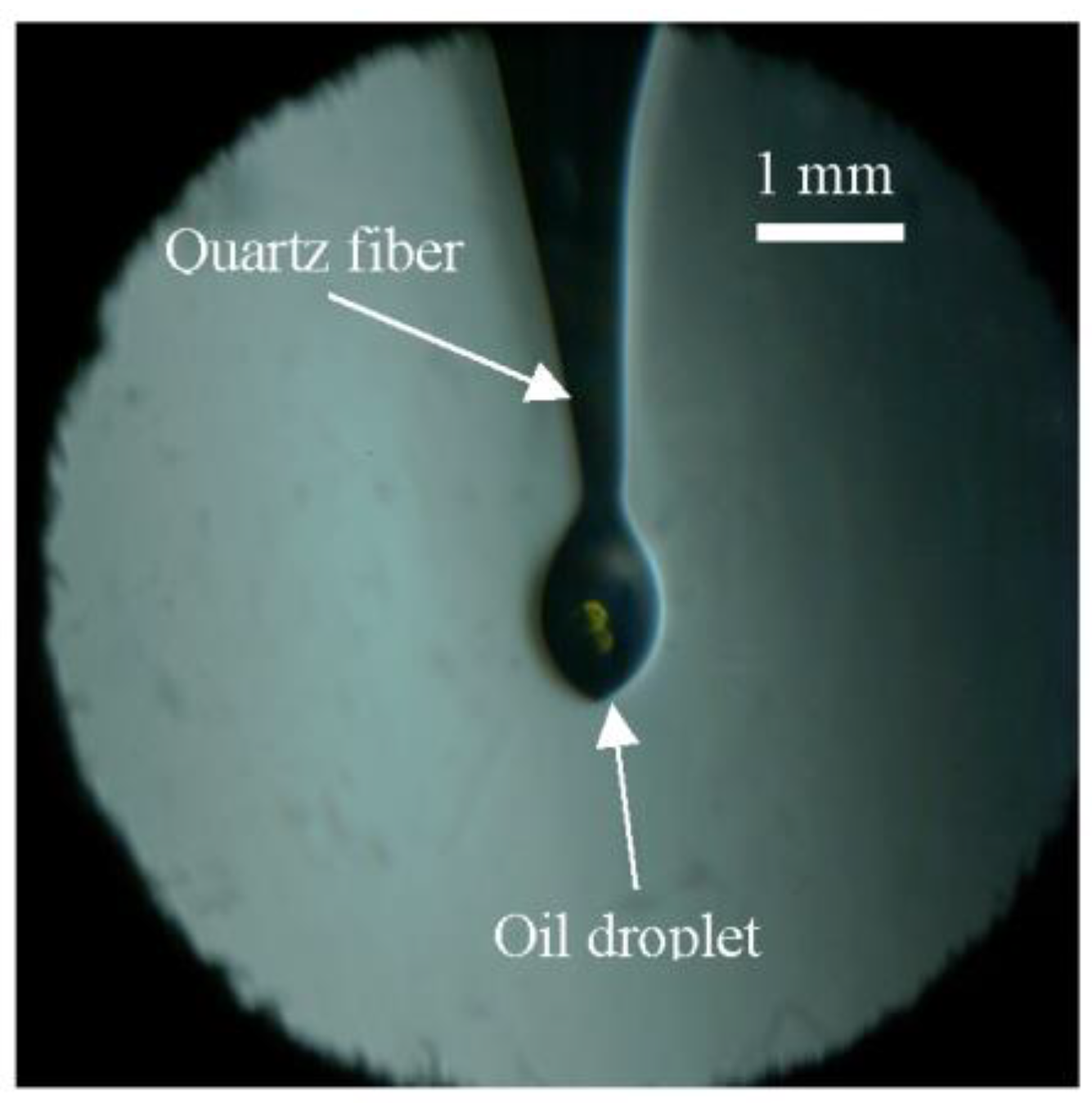 Lubricants 11 00118 g002