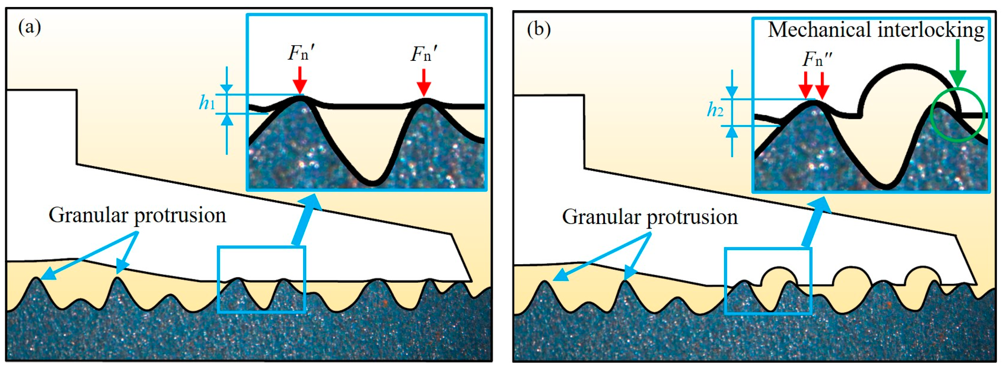 Lubricants 11 00152 g008