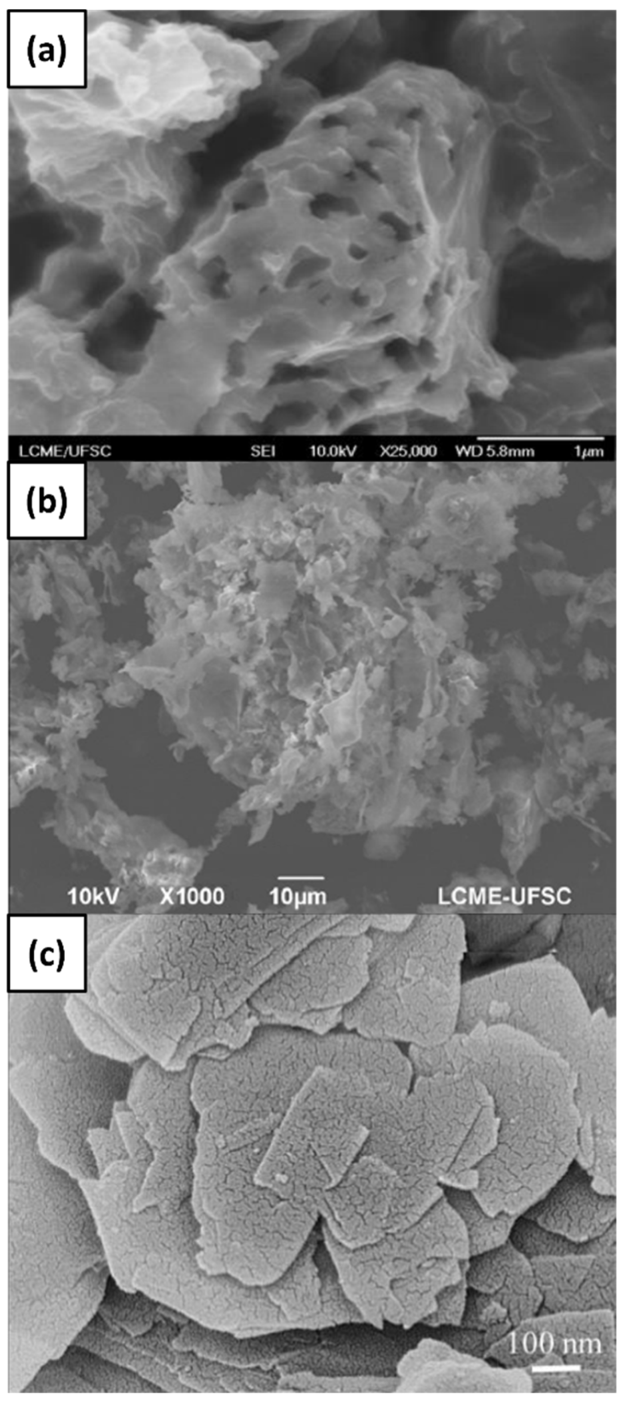 Lubricants 11 00155 g001