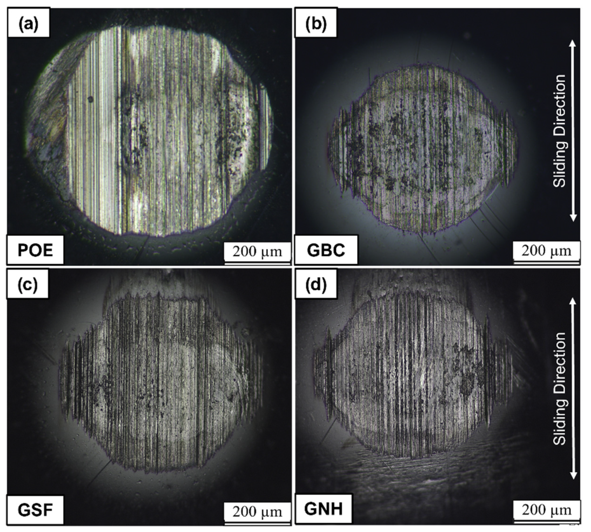 Lubricants 11 00155 g012