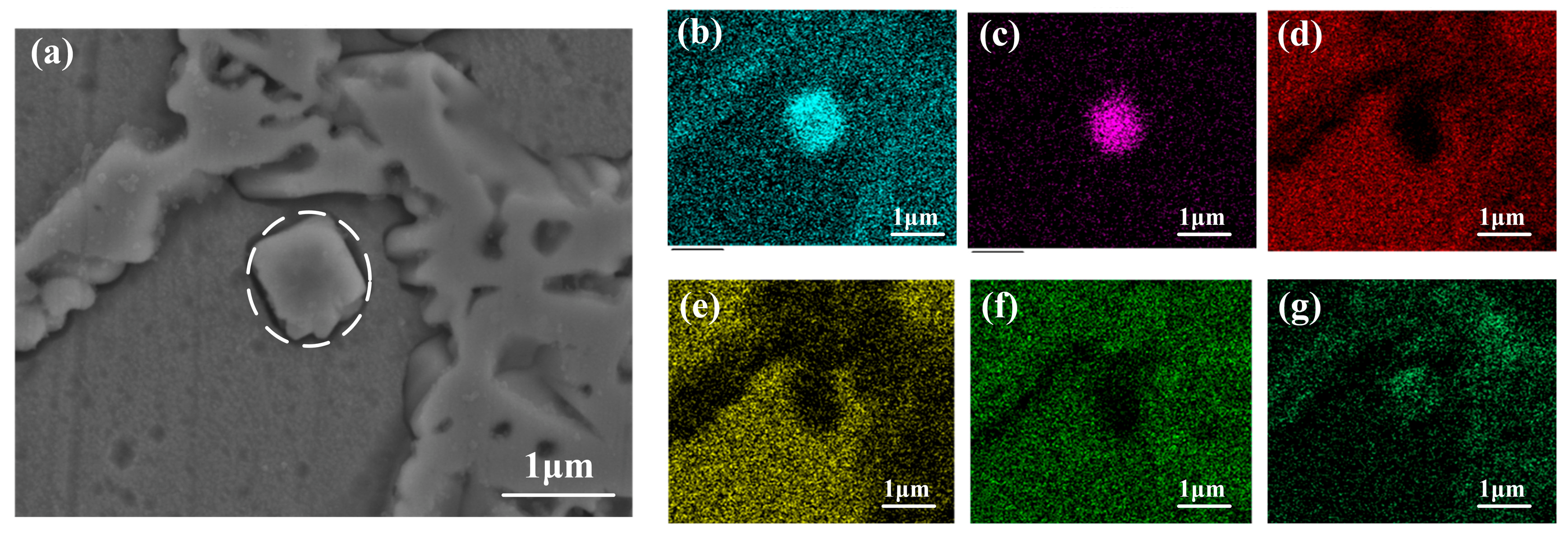 Lubricants 11 00170 g007