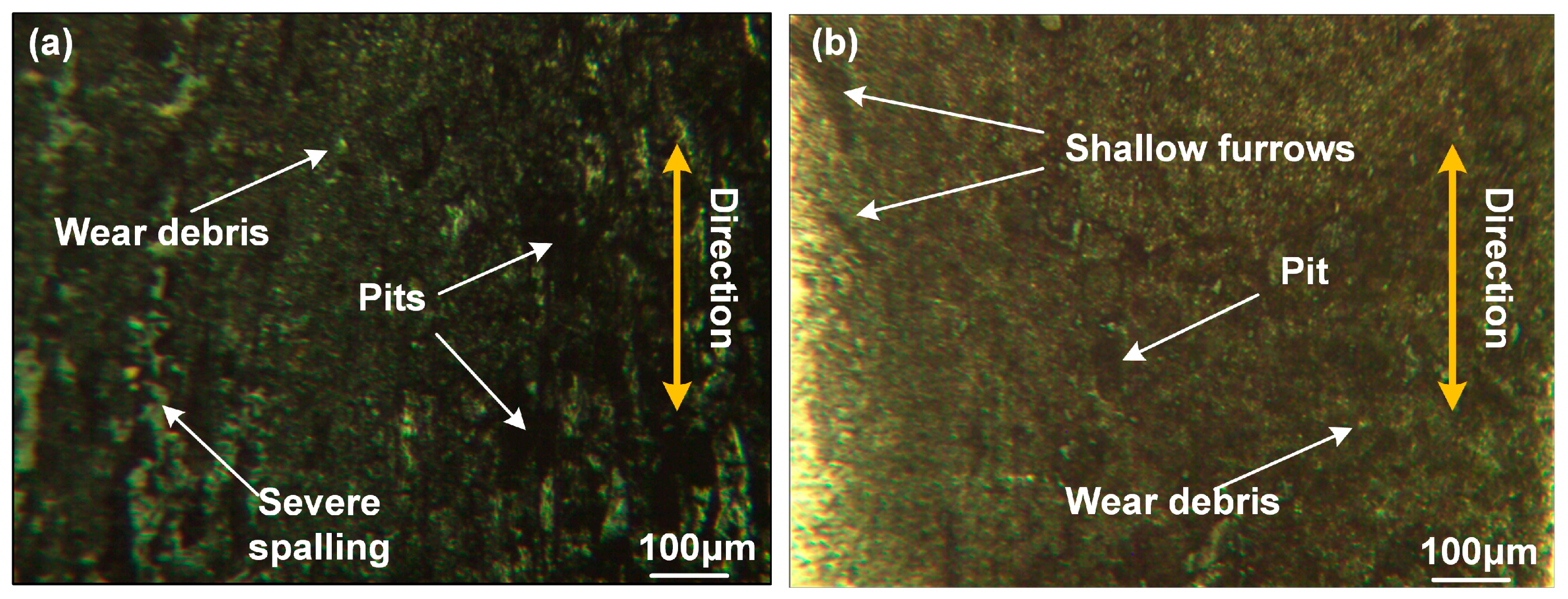 Lubricants 11 00170 g013