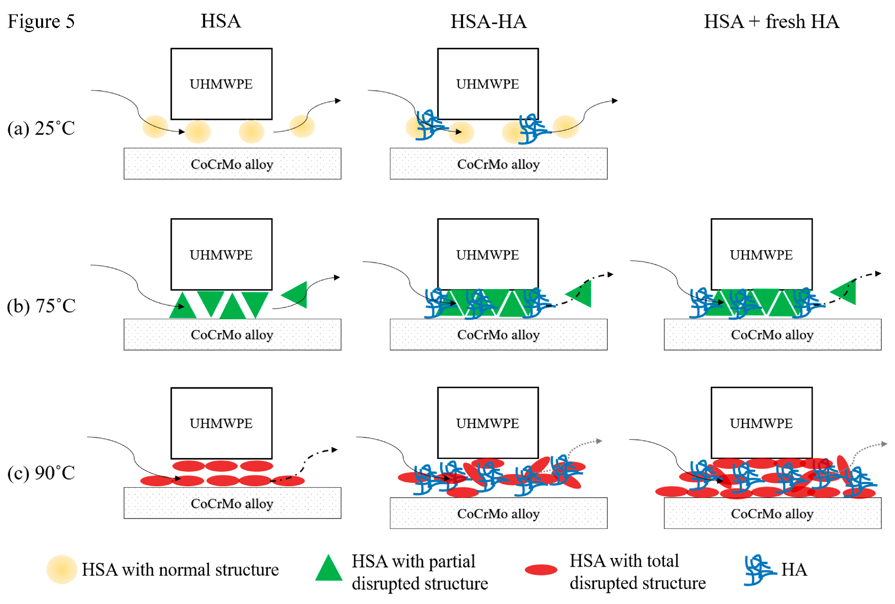 Lubricants 11 00210 g005 Lubricants 11 00210 g005