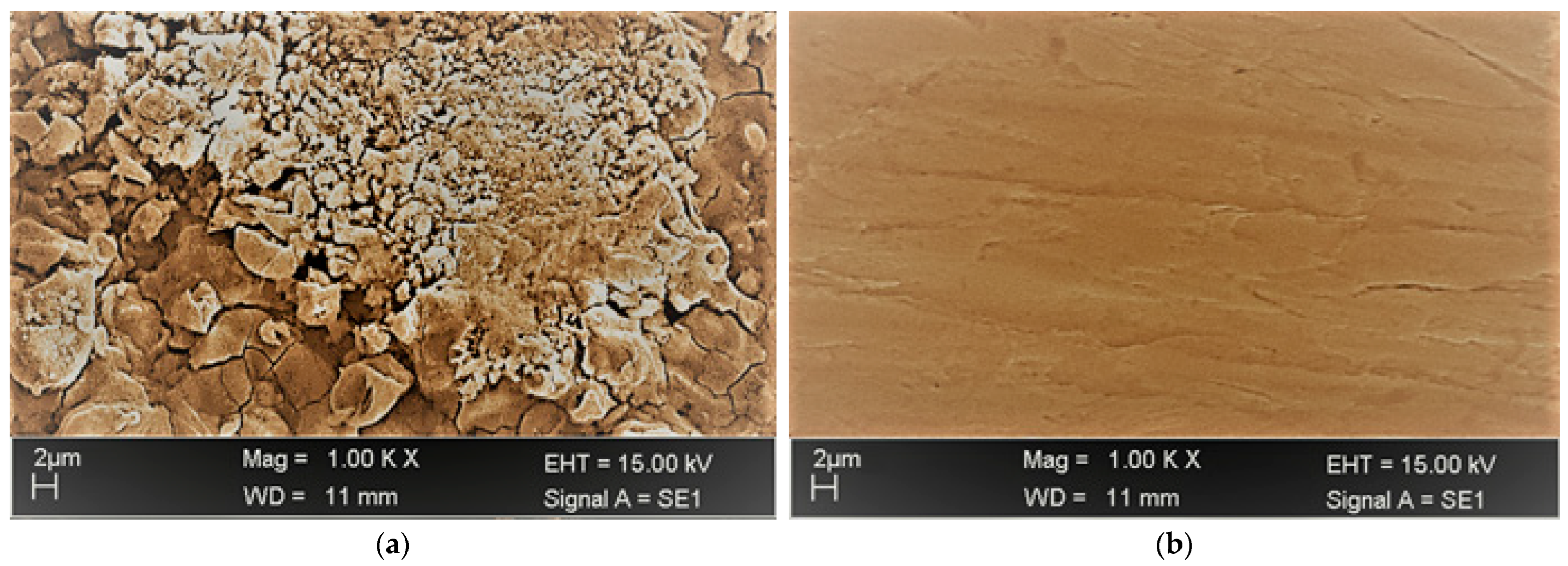 Lubricants 11 00211 g012 Lubricants 11 00211 g012