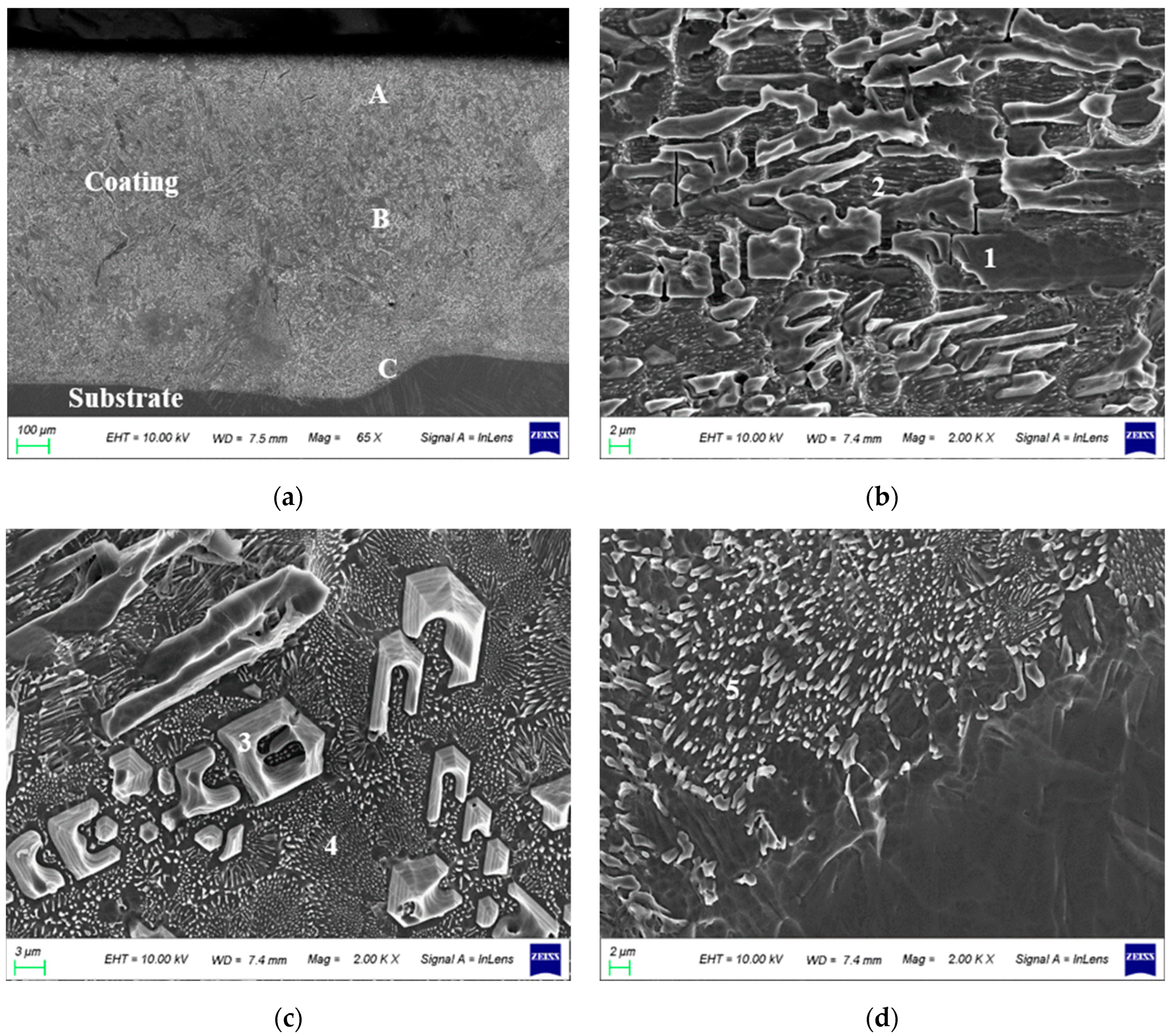 Lubricants 11 00213 g004 Lubricants 11 00213 g004