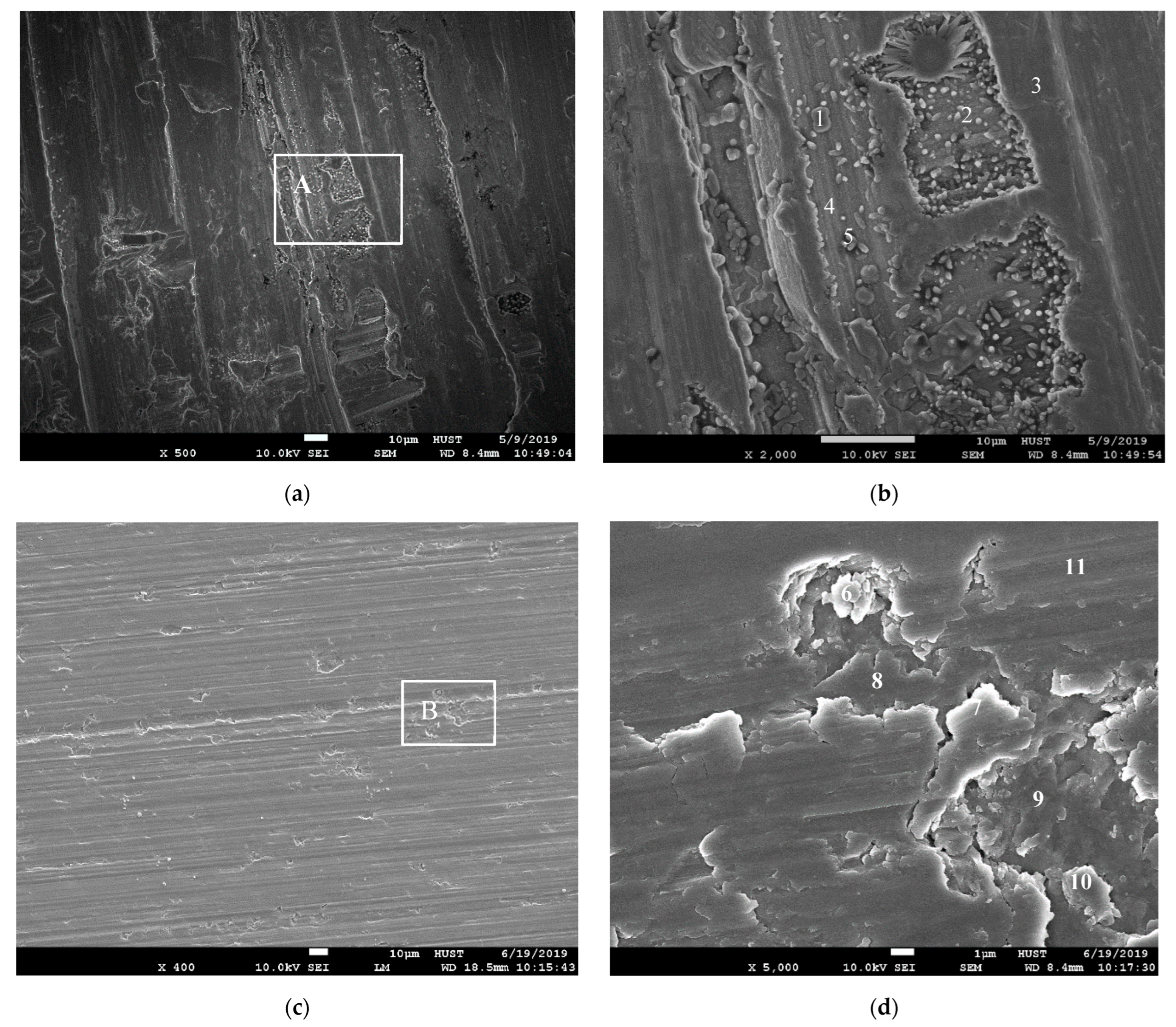 Lubricants 11 00213 g007 Lubricants 11 00213 g007