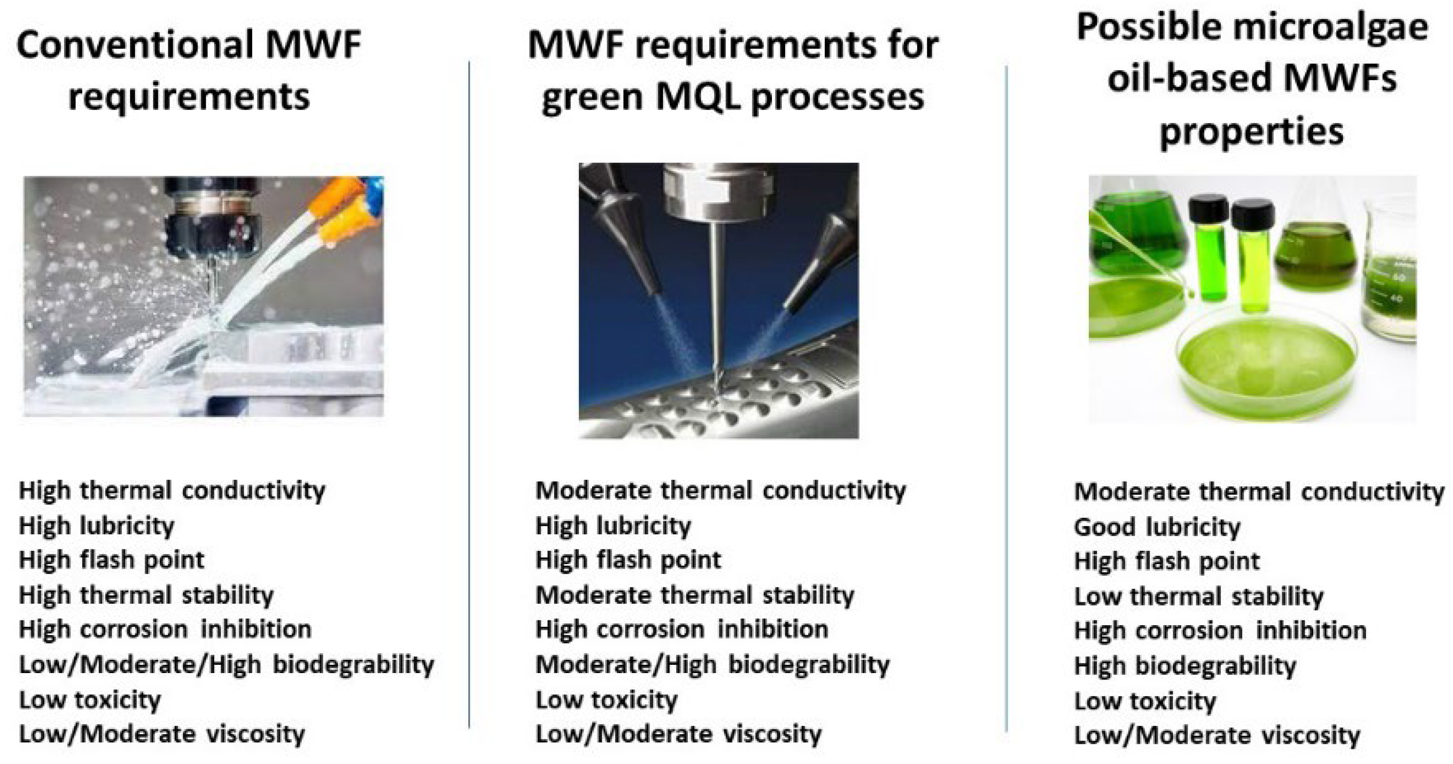 Lubricants 11 00215 g004