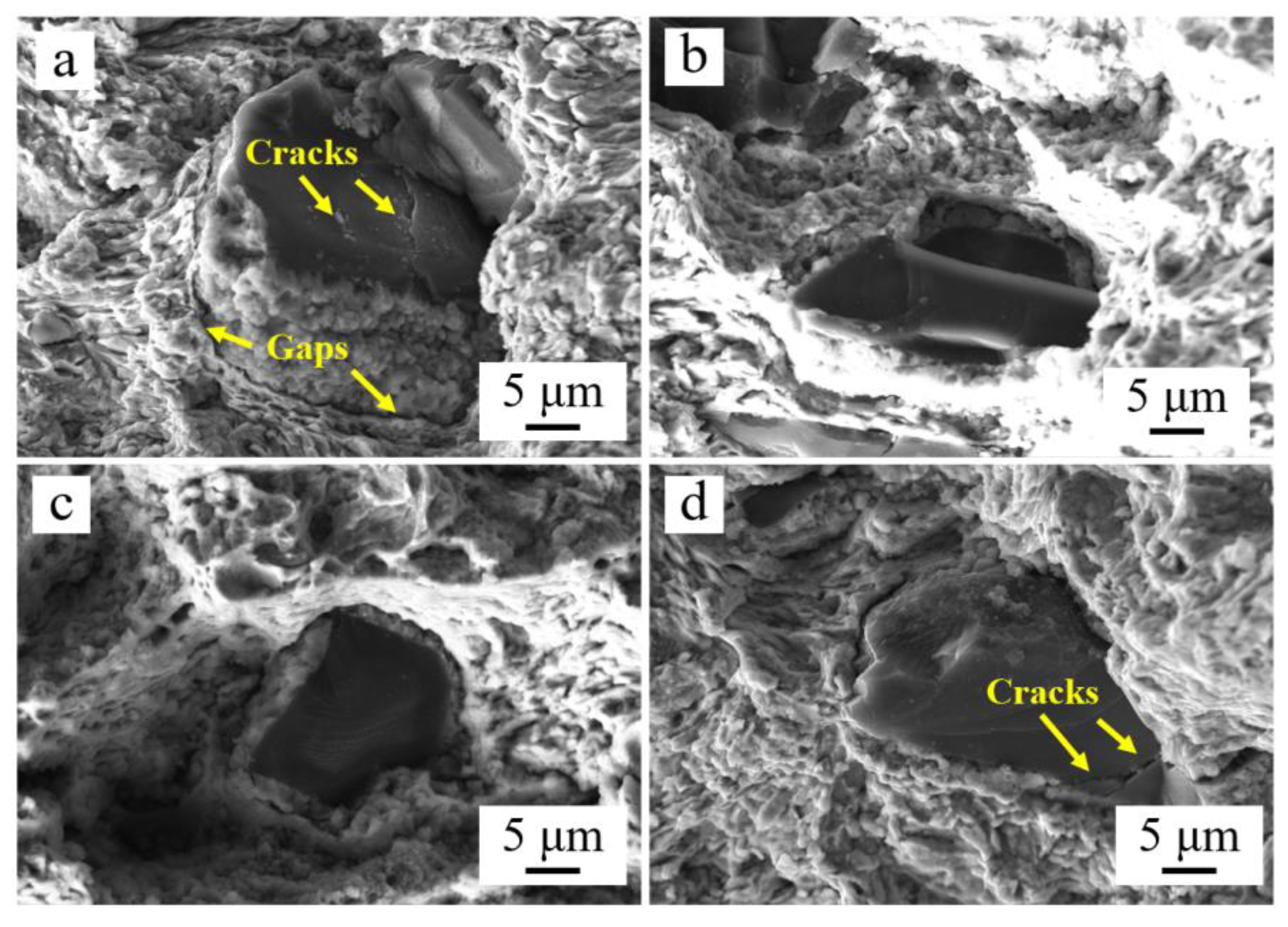 Lubricants 11 00216 g007 Lubricants 11 00216 g007