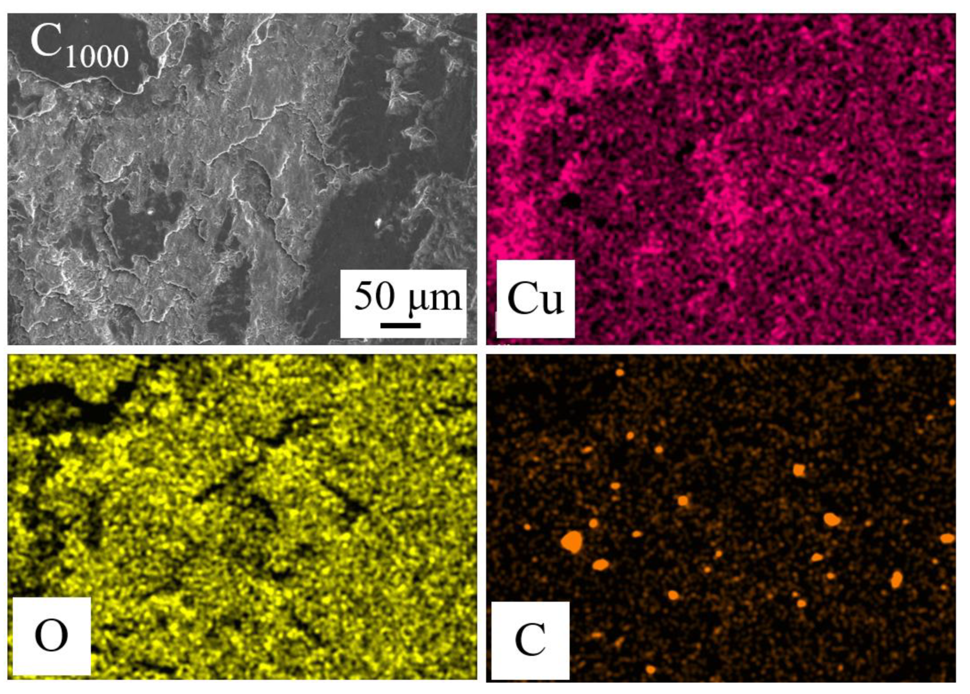 Lubricants 11 00216 g013 Lubricants 11 00216 g013