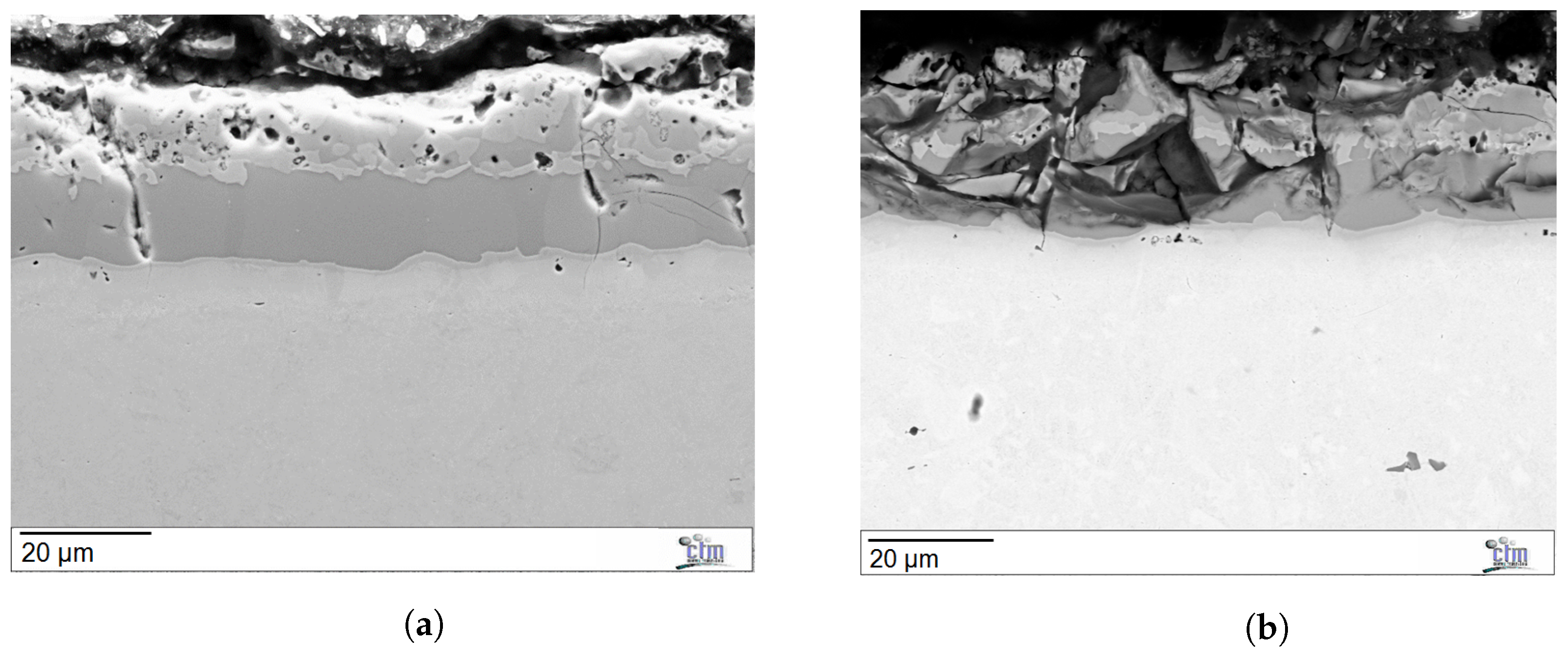 Lubricants 11 00222 g005