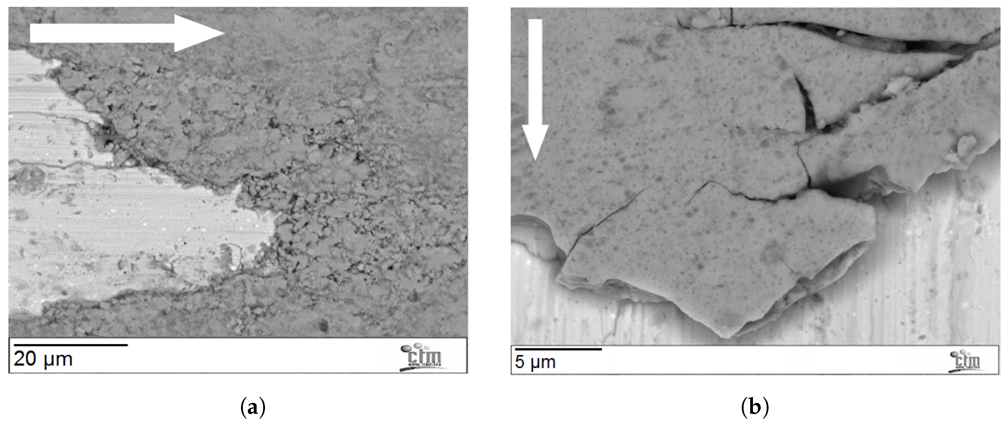 Lubricants 11 00222 g008