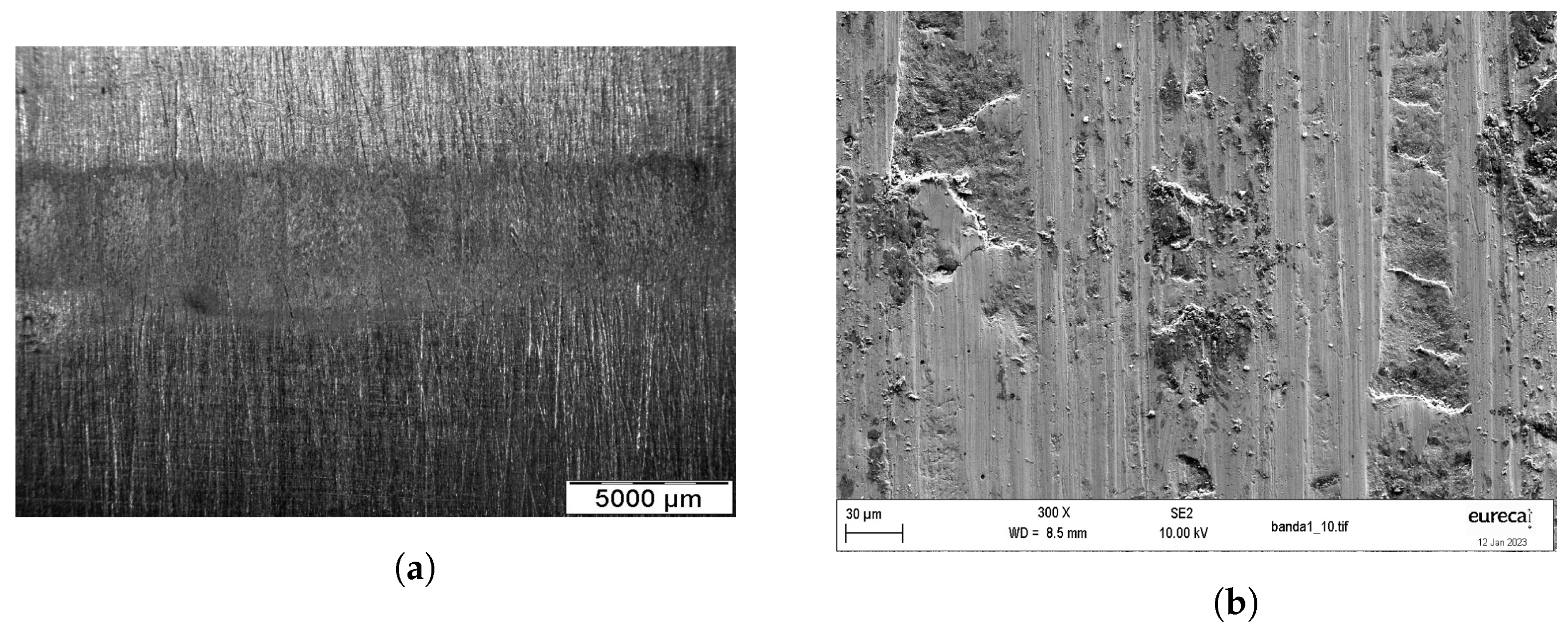 Lubricants 11 00222 g012