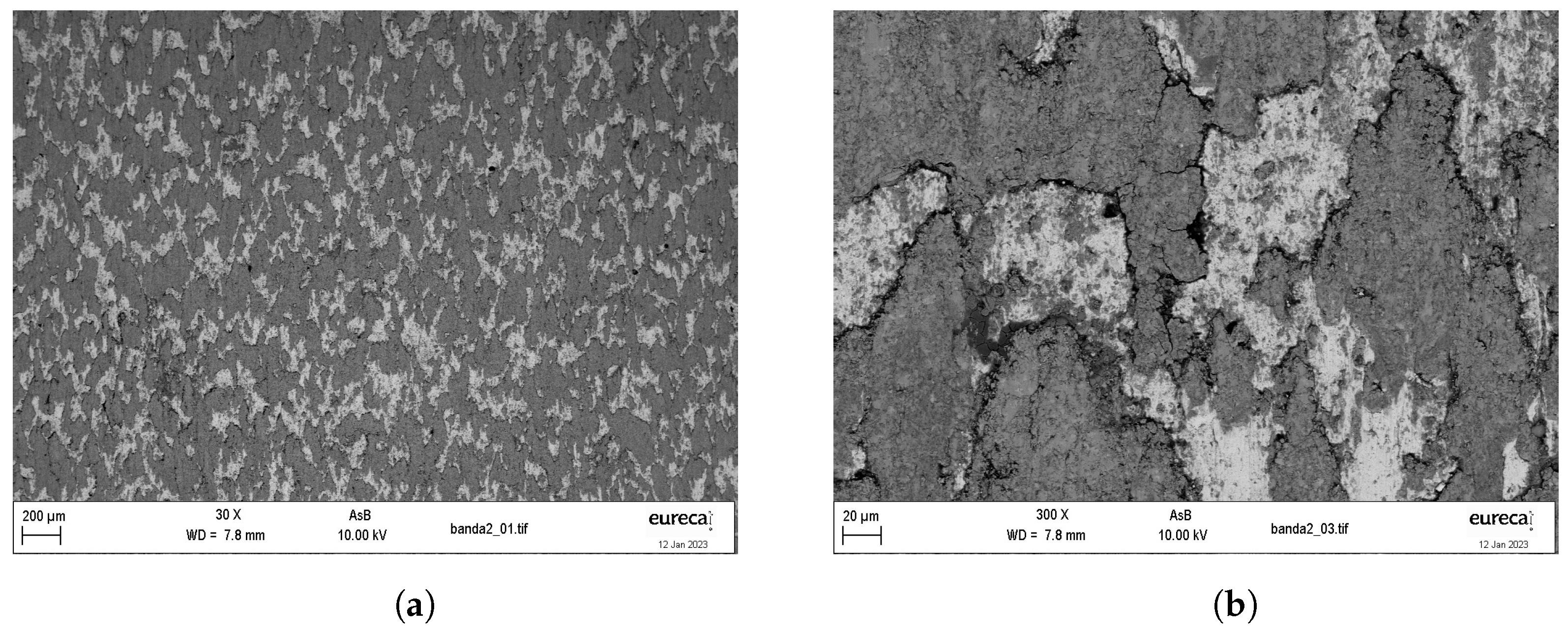 Lubricants 11 00222 g013