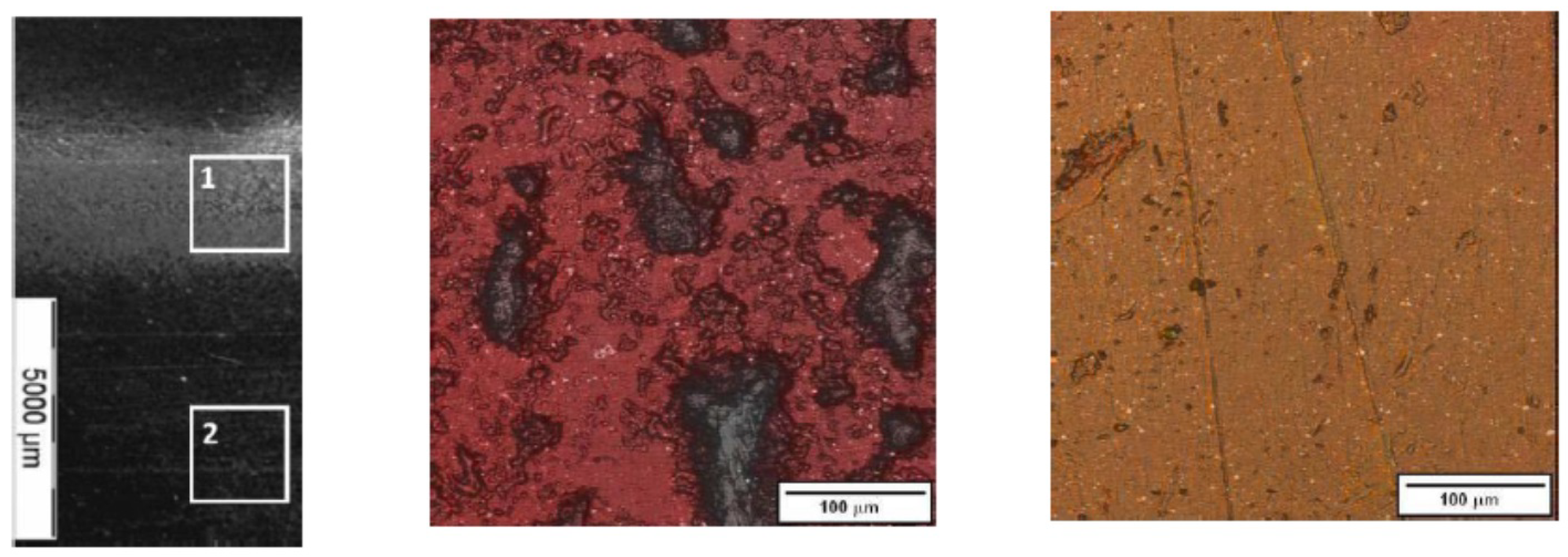 Lubricants 11 00222 g017