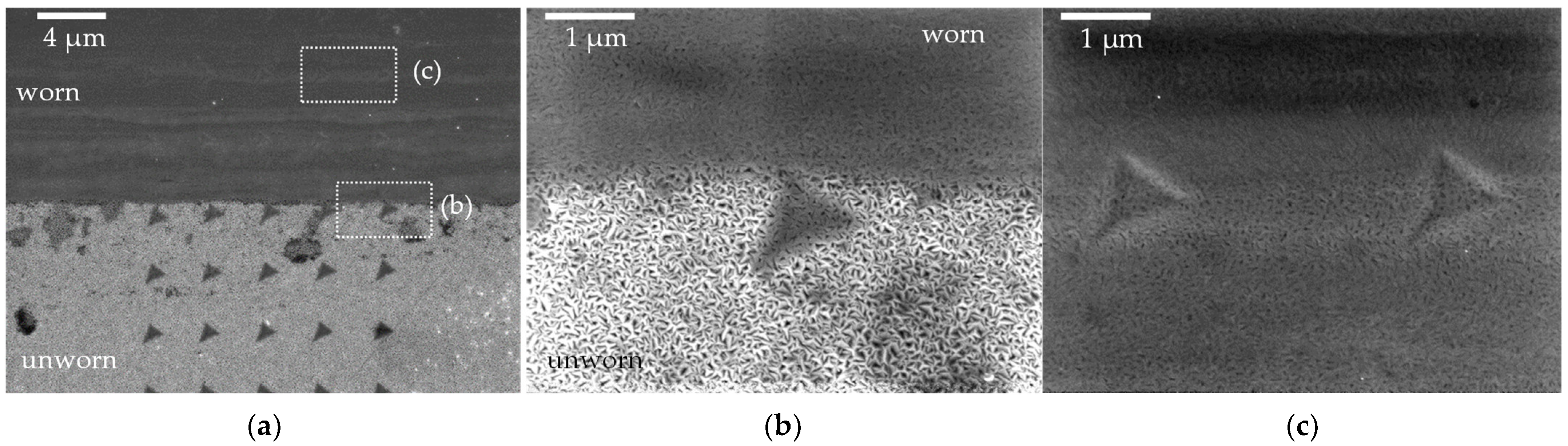 Lubricants 11 00283 g008