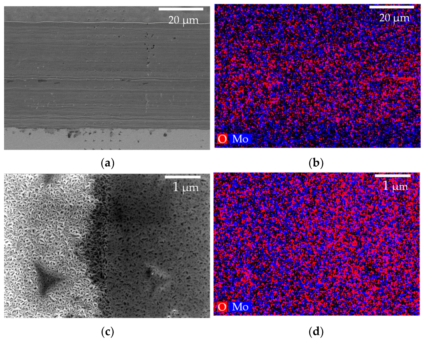 Lubricants 11 00283 g009