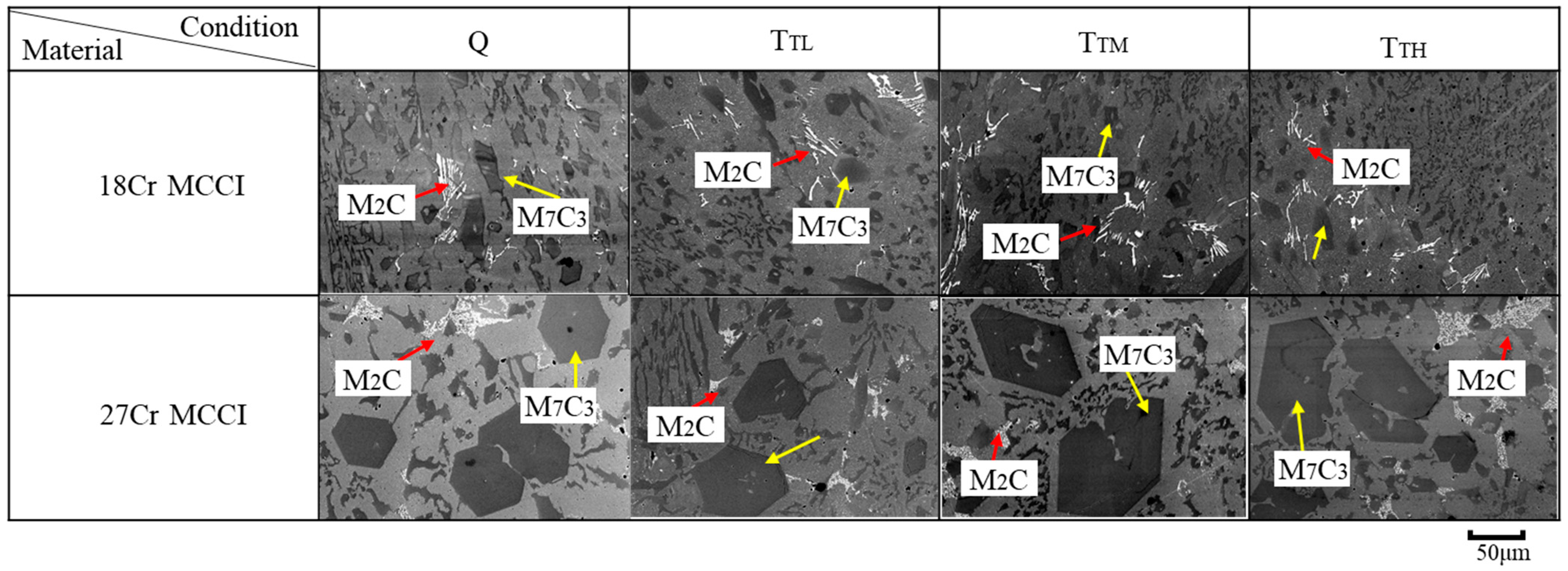 Lubricants 11 00285 g005