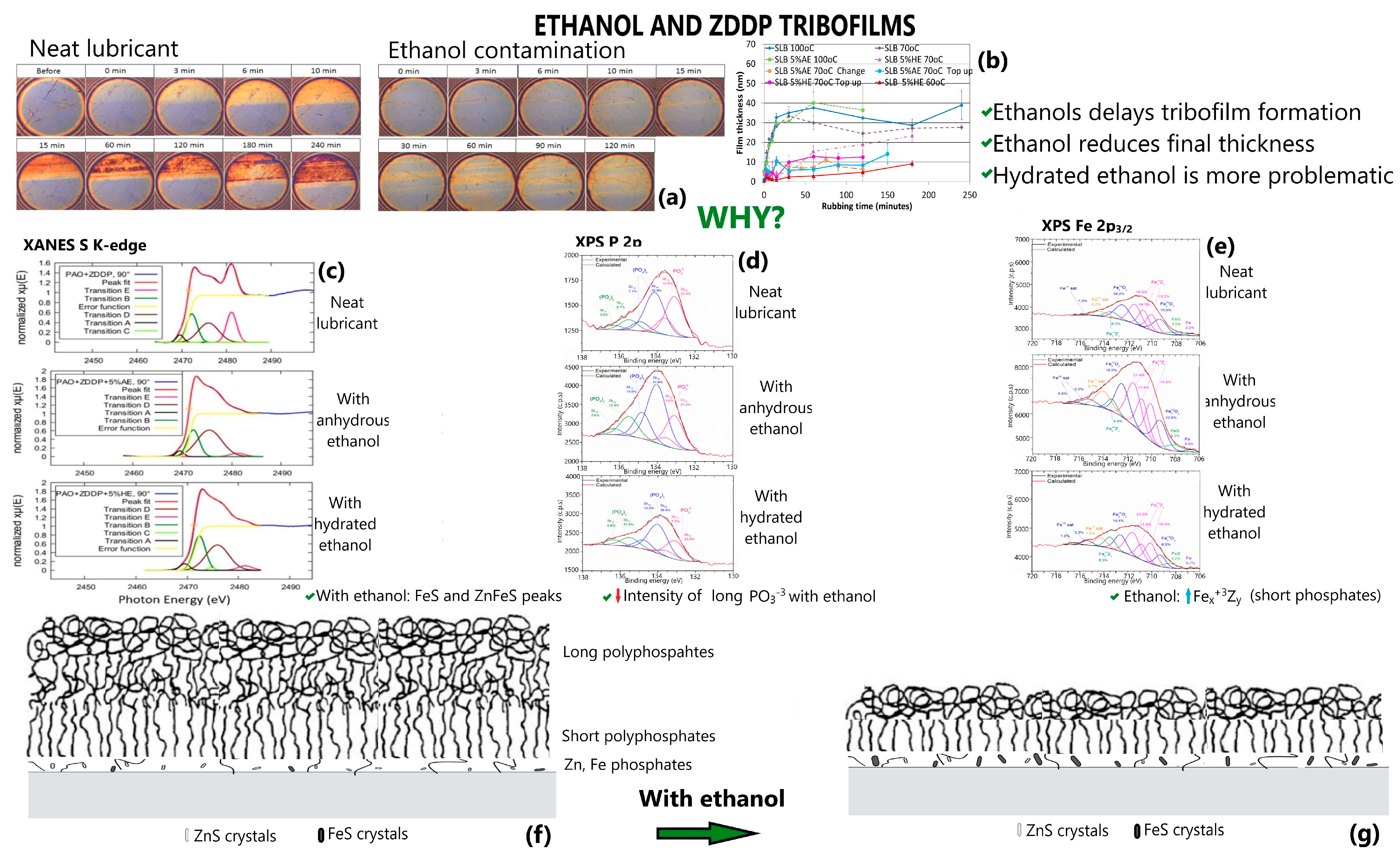 Lubricants 11 00292 g003 Lubricants 11 00292 g003