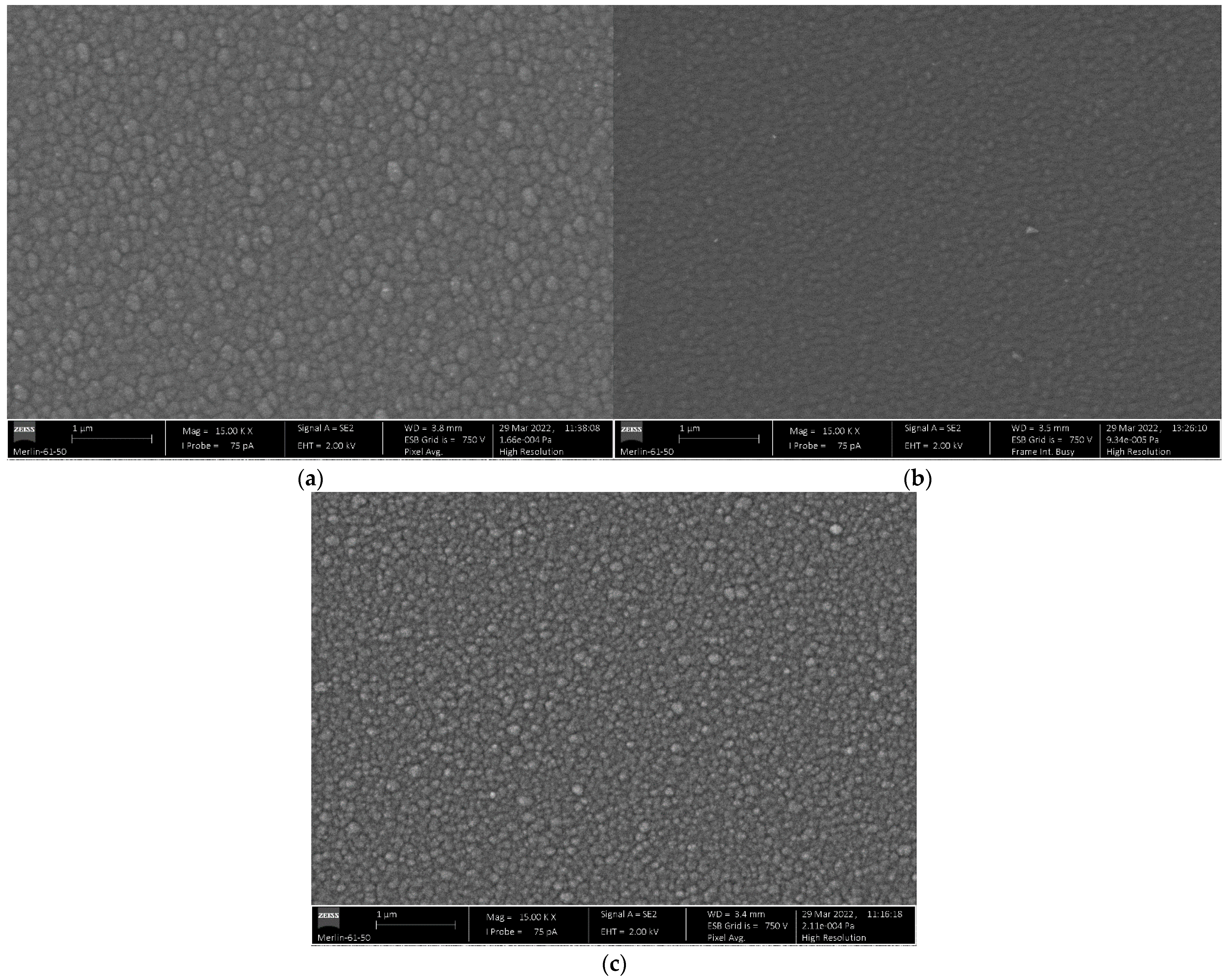 Lubricants 11 00302 g001 Lubricants 11 00302 g001