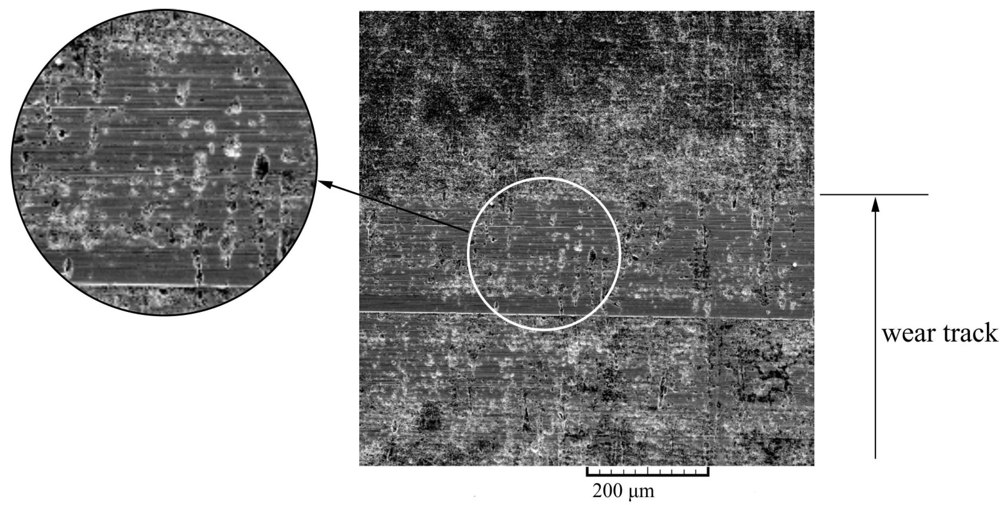 Lubricants 11 00325 g014