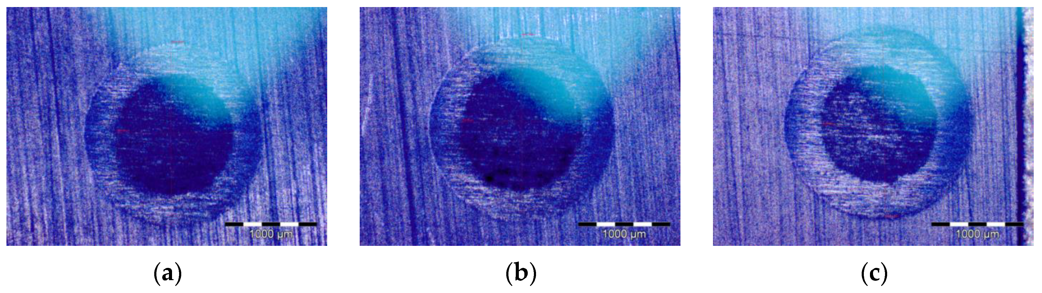 Lubricants 11 00350 g005