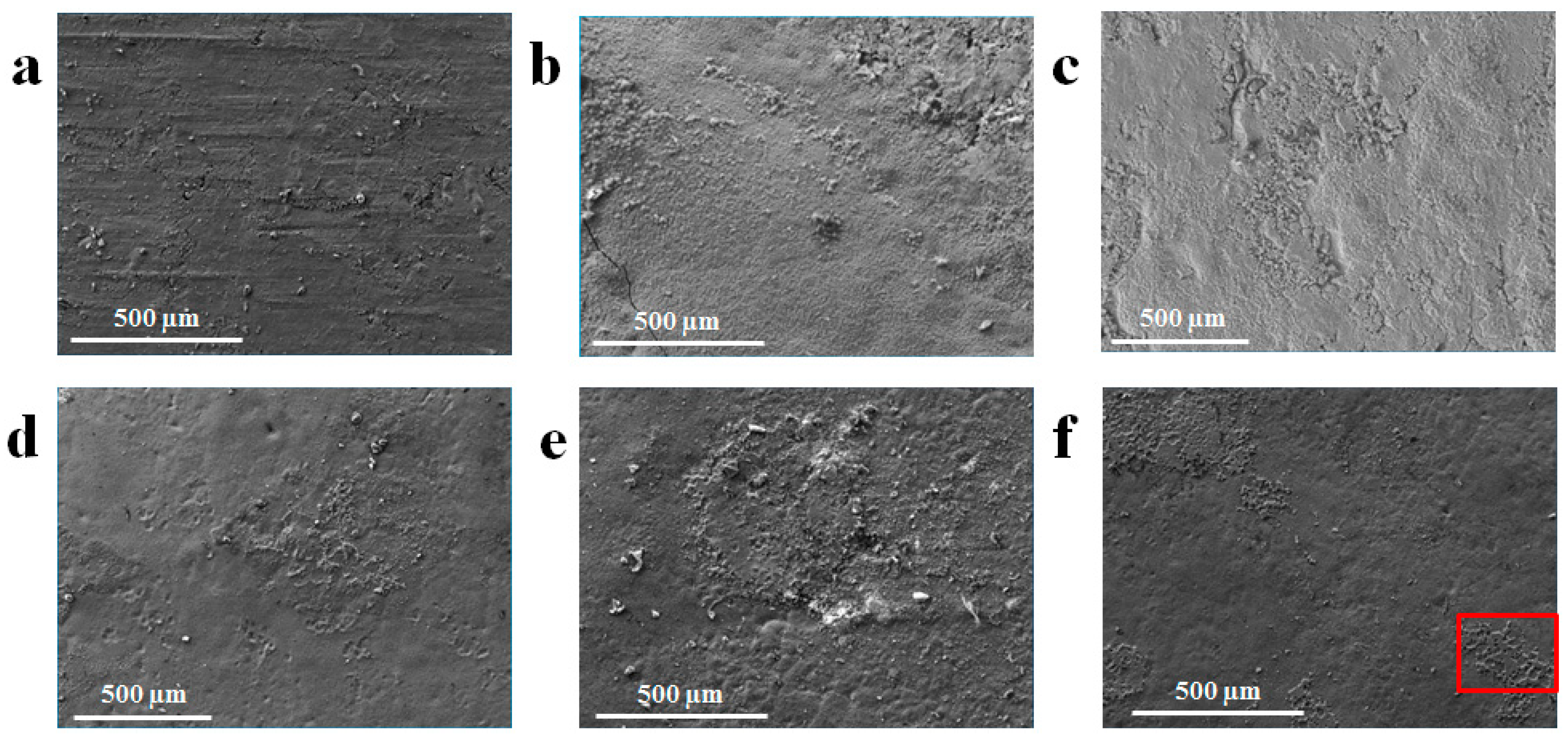 Lubricants 11 00352 g005