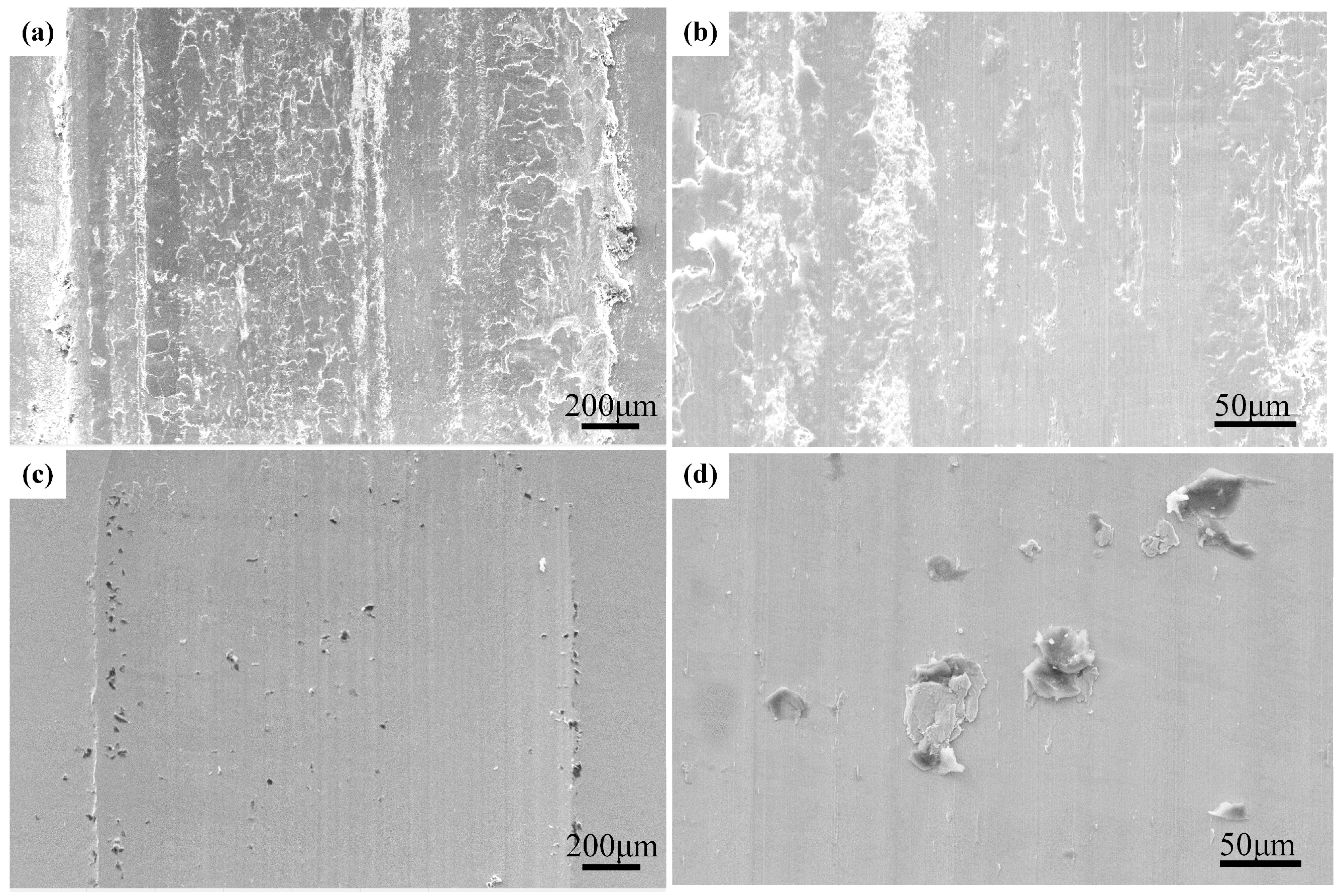 Lubricants 11 00358 g010