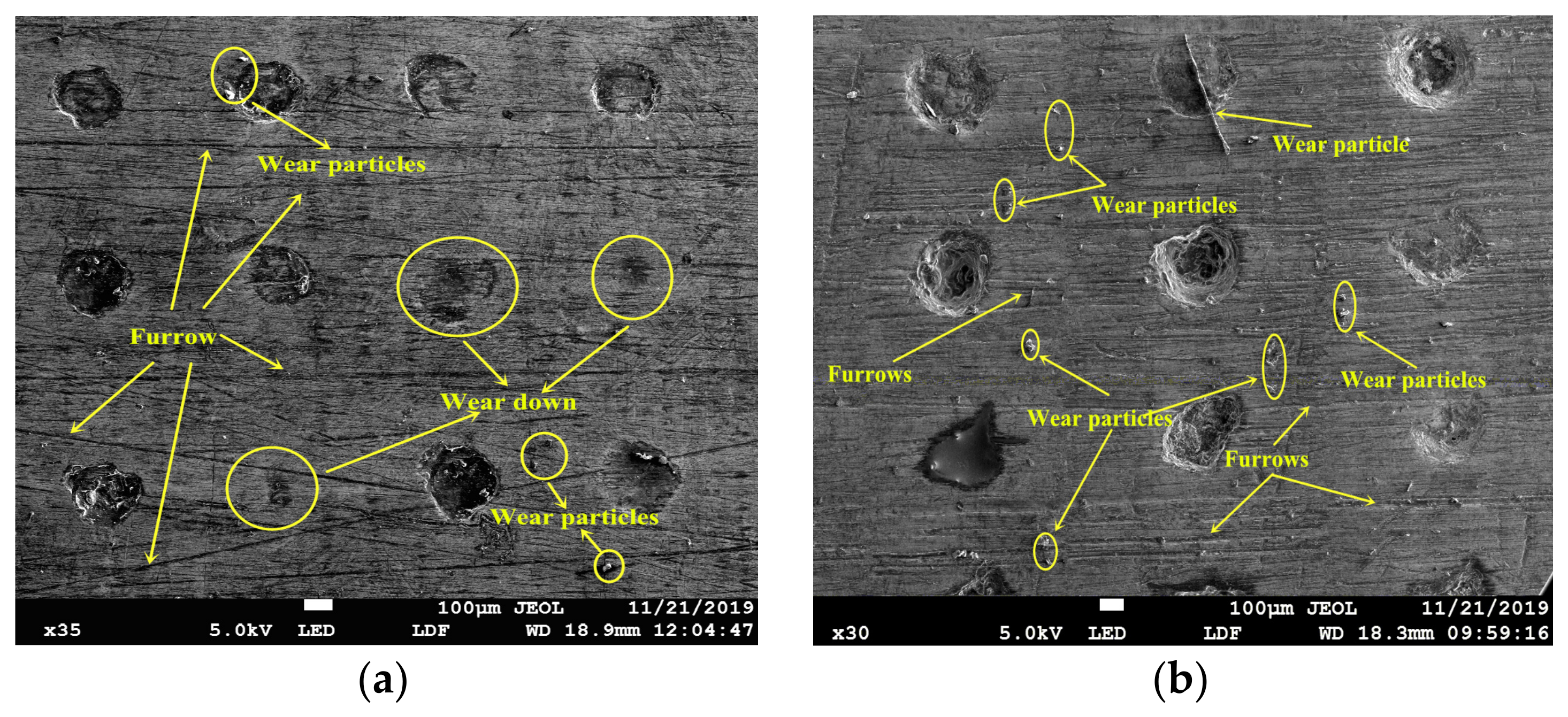 Lubricants 11 00362 g015