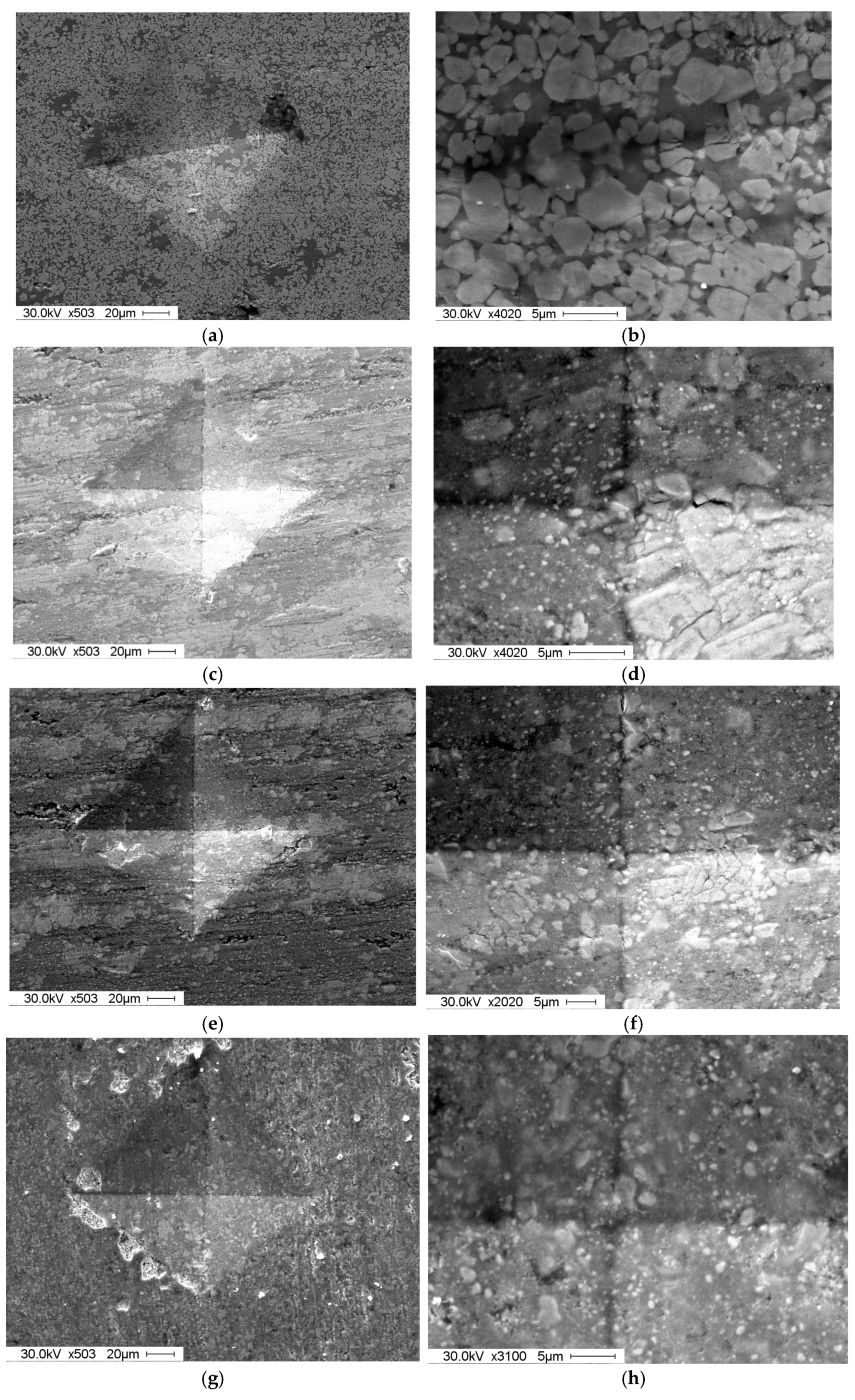 Lubricants 11 00365 g009