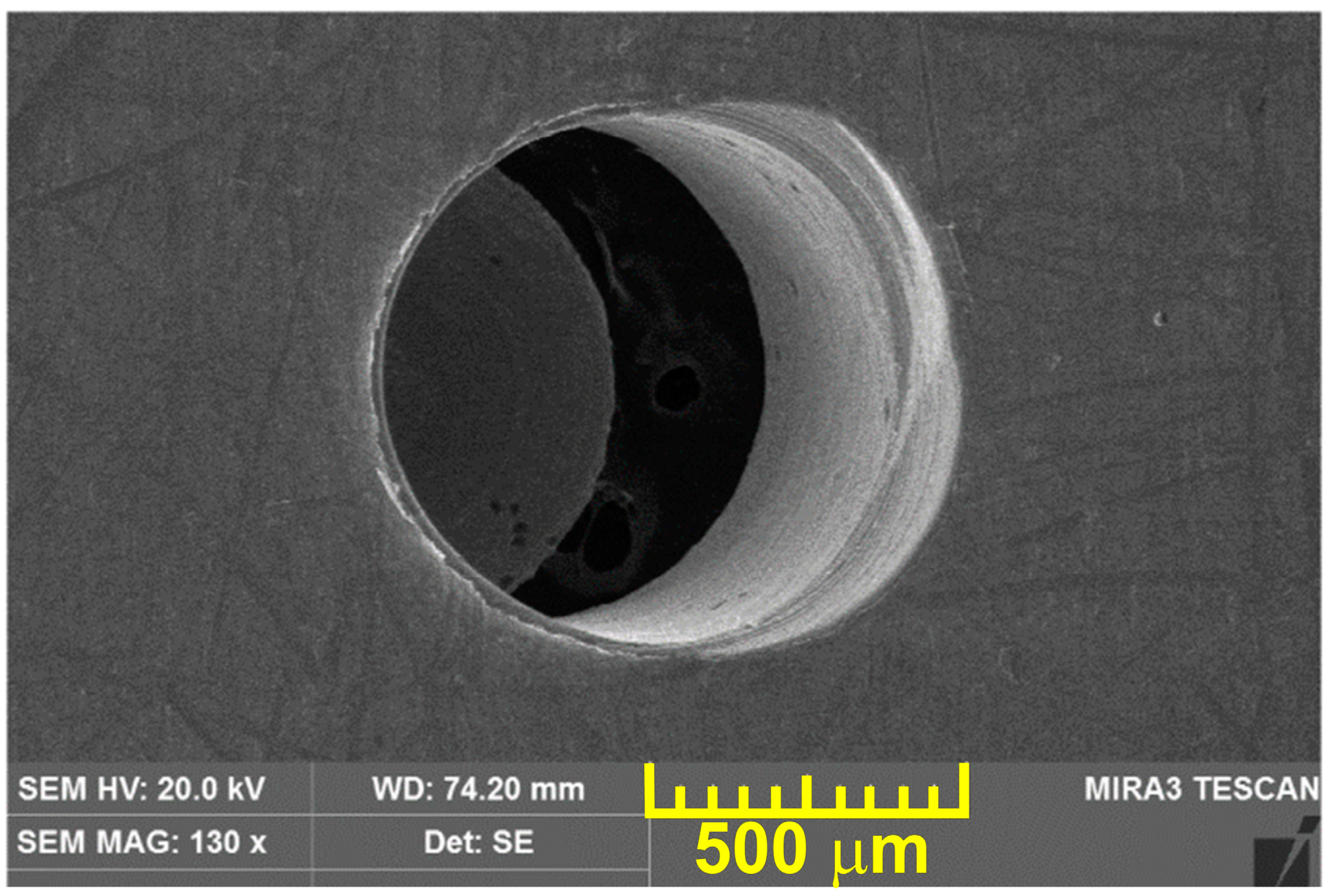 Lubricants 11 00384 g002