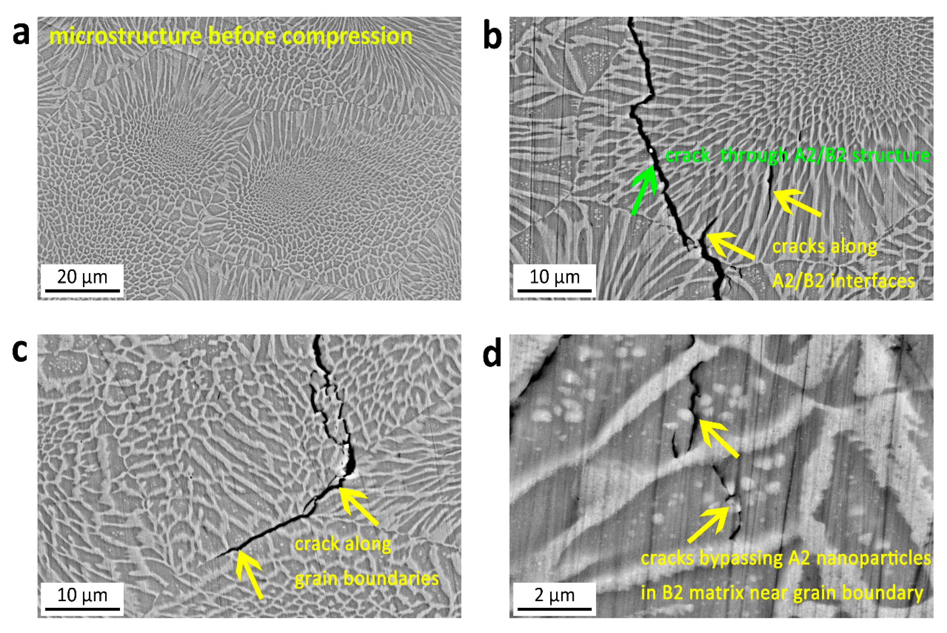 Lubricants 11 00392 g008