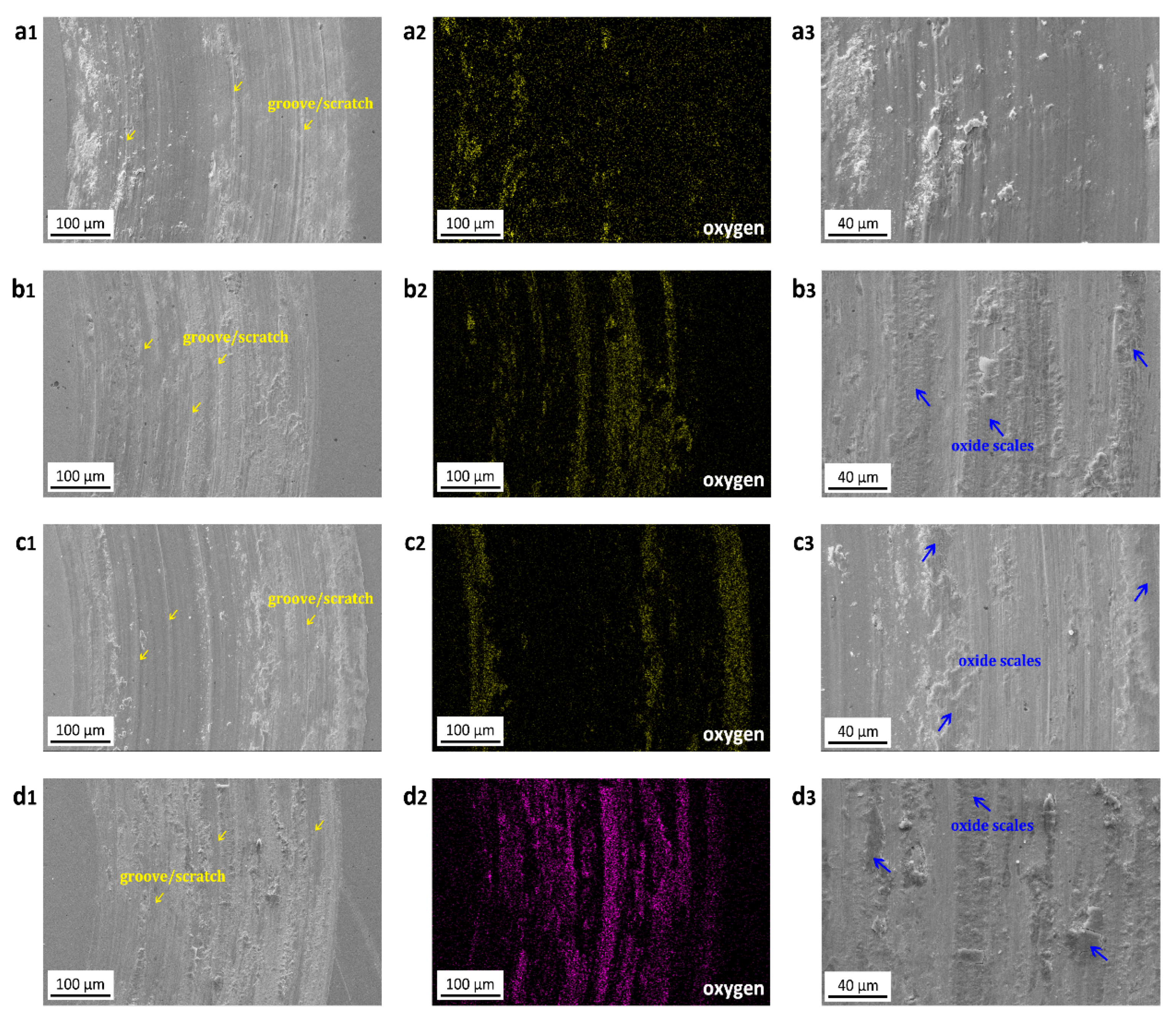Lubricants 11 00392 g013