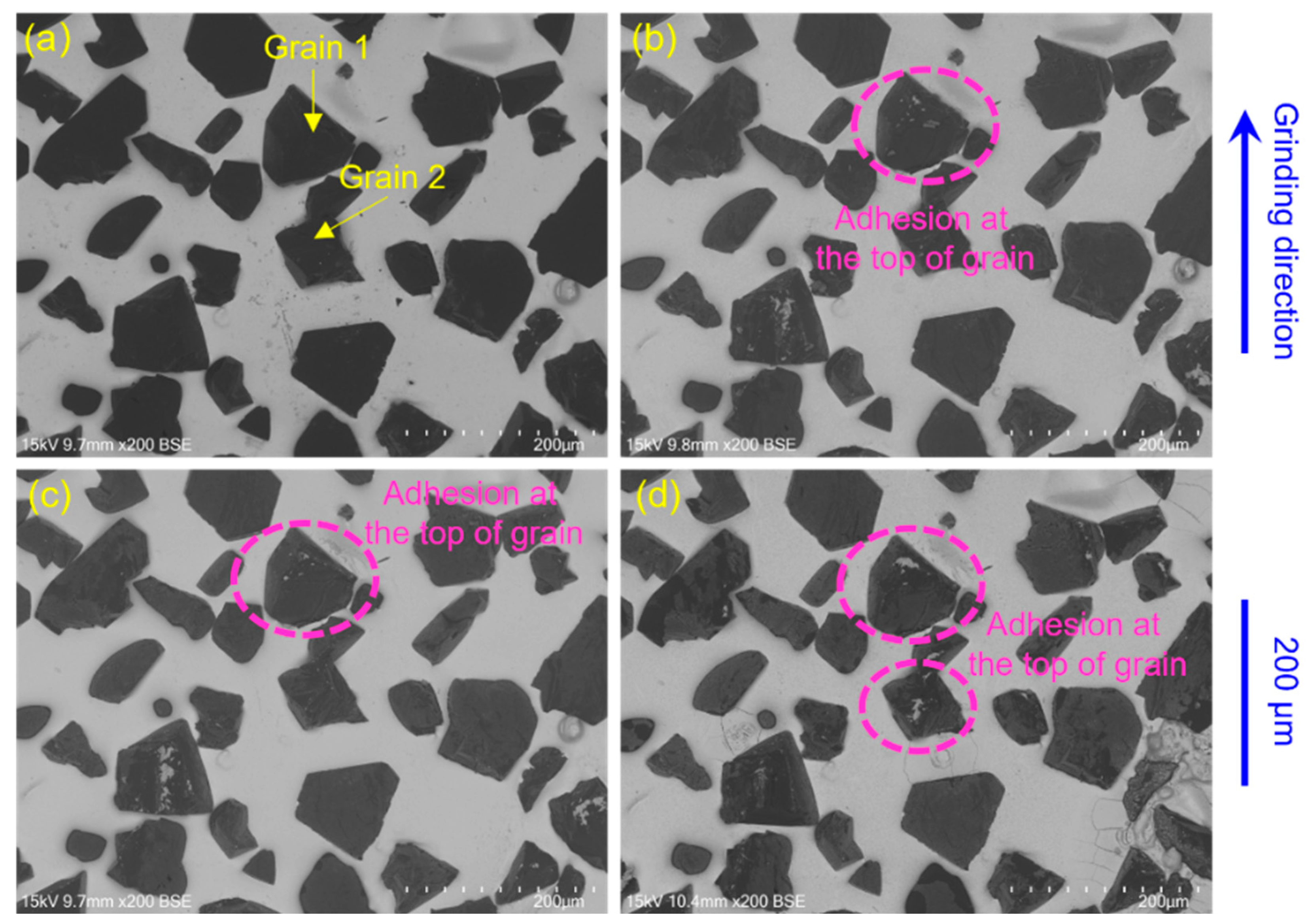 Lubricants 11 00397 g014