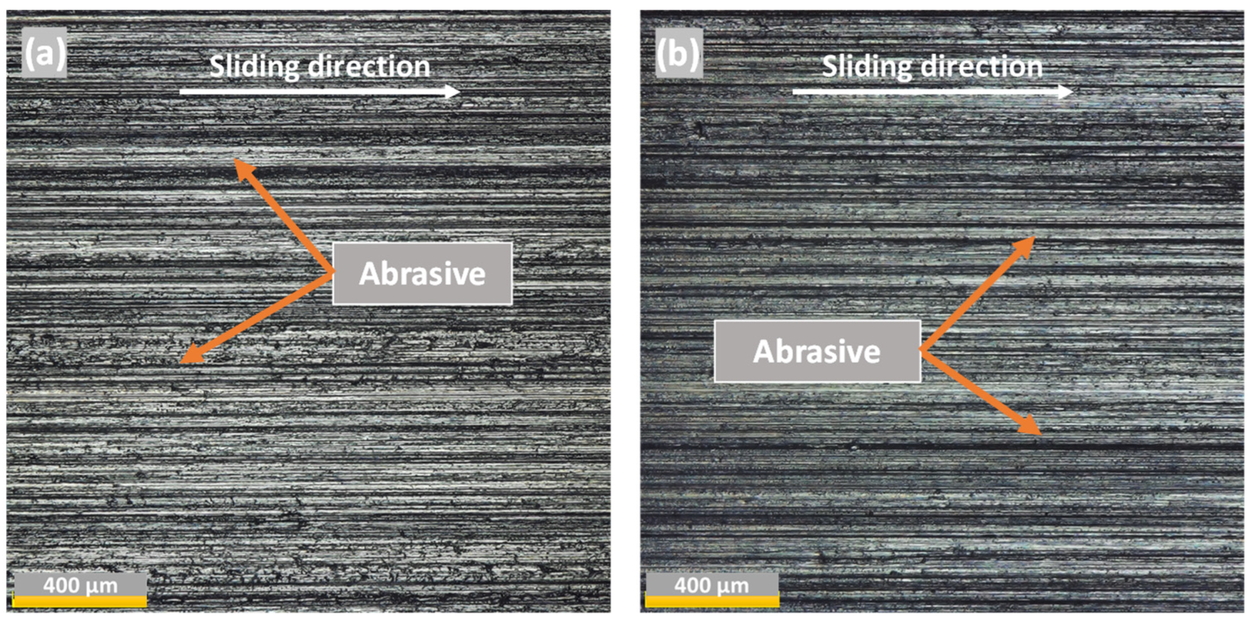 Lubricants 11 00420 g016