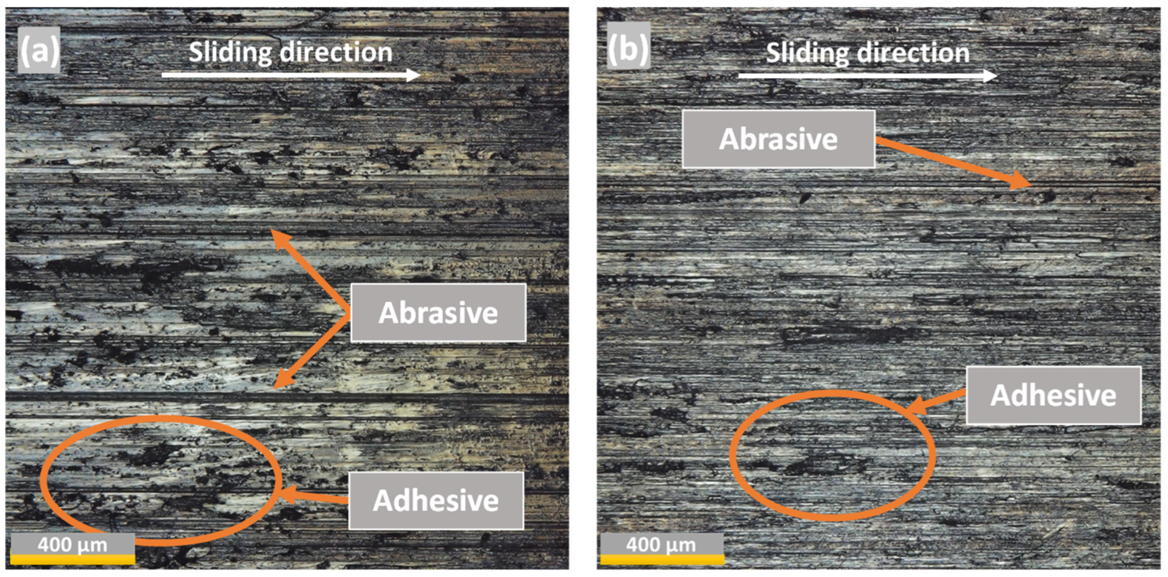 Lubricants 11 00420 g017